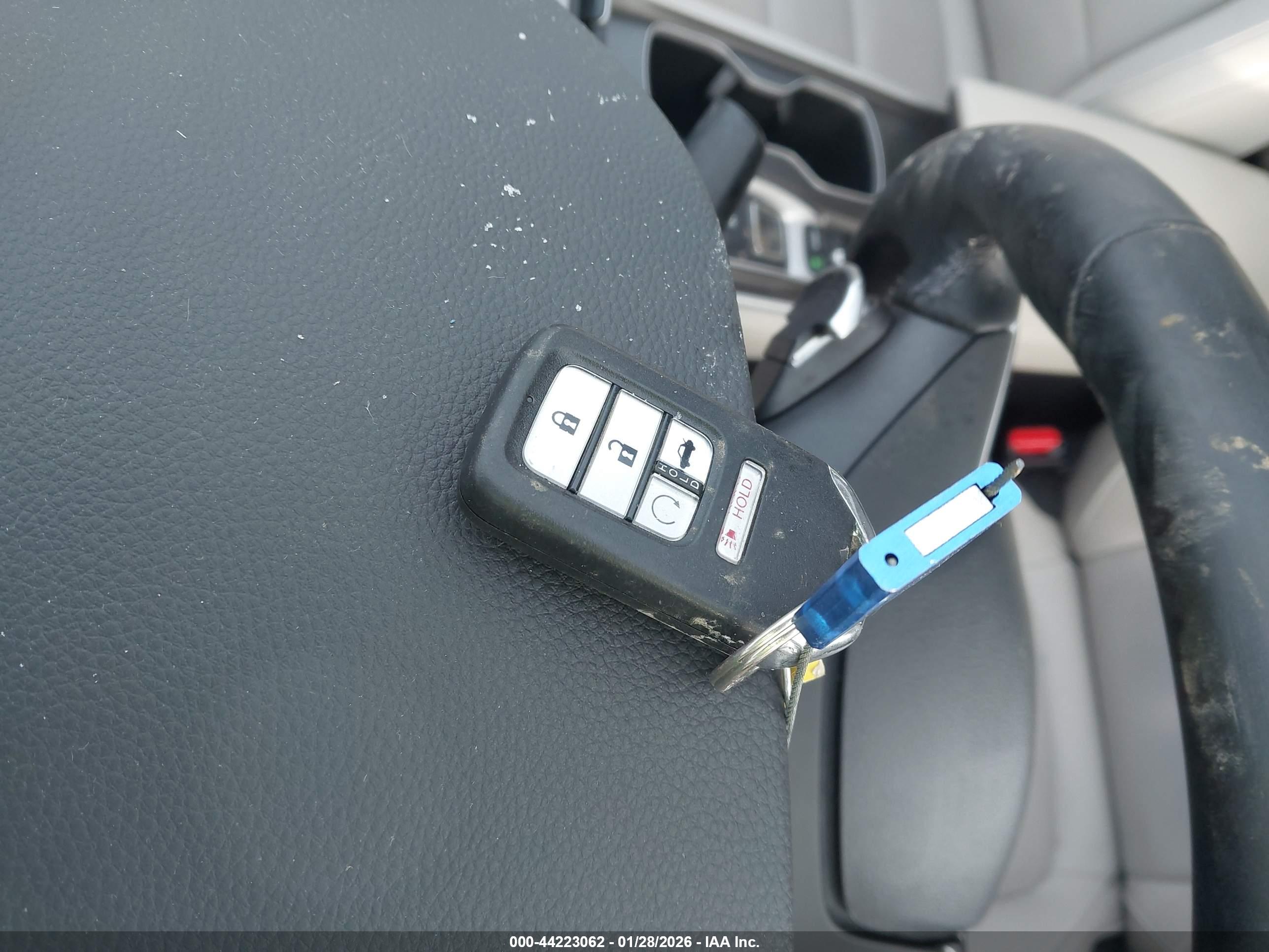 HONDA ACCORD image 11