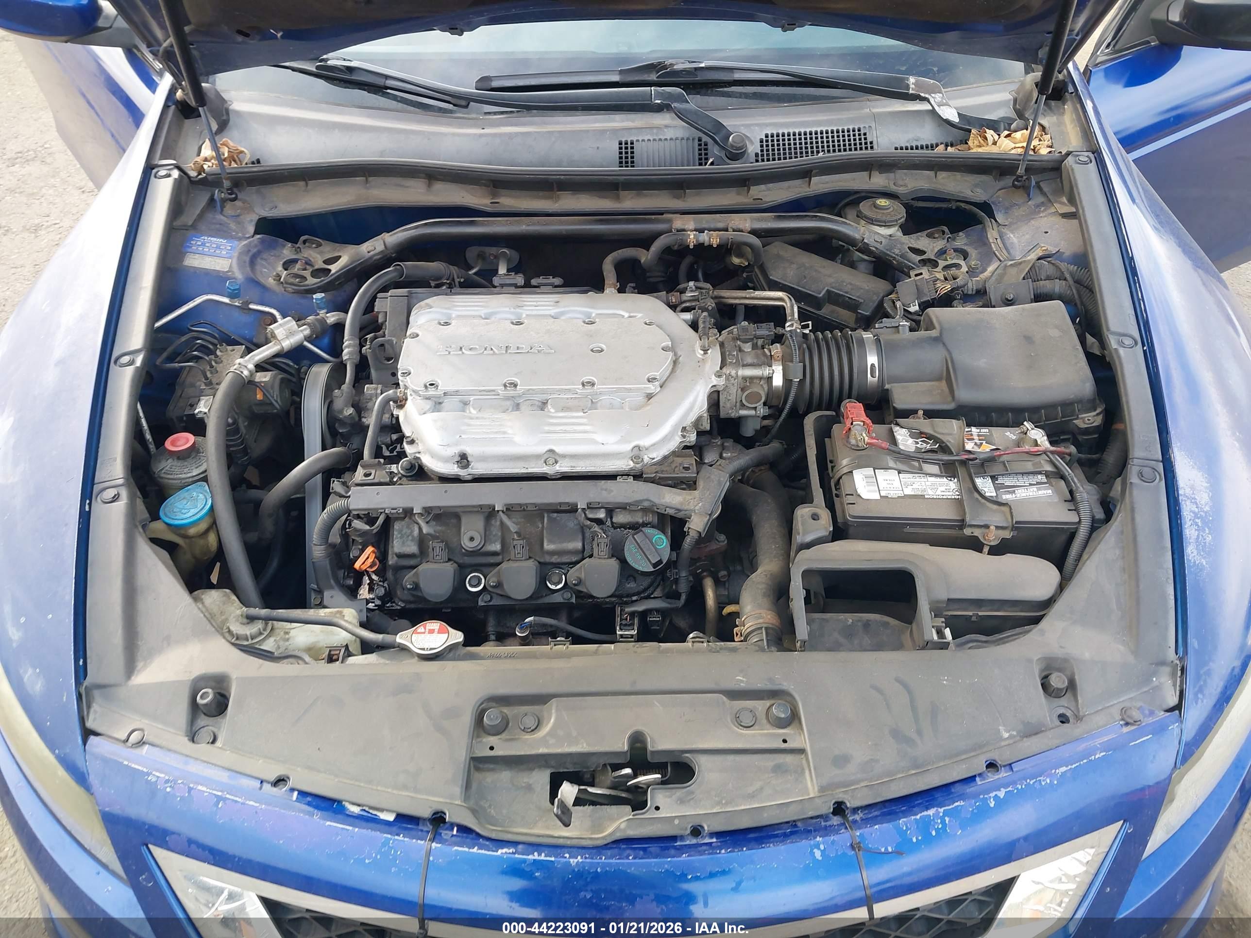 HONDA ACCORD image 10