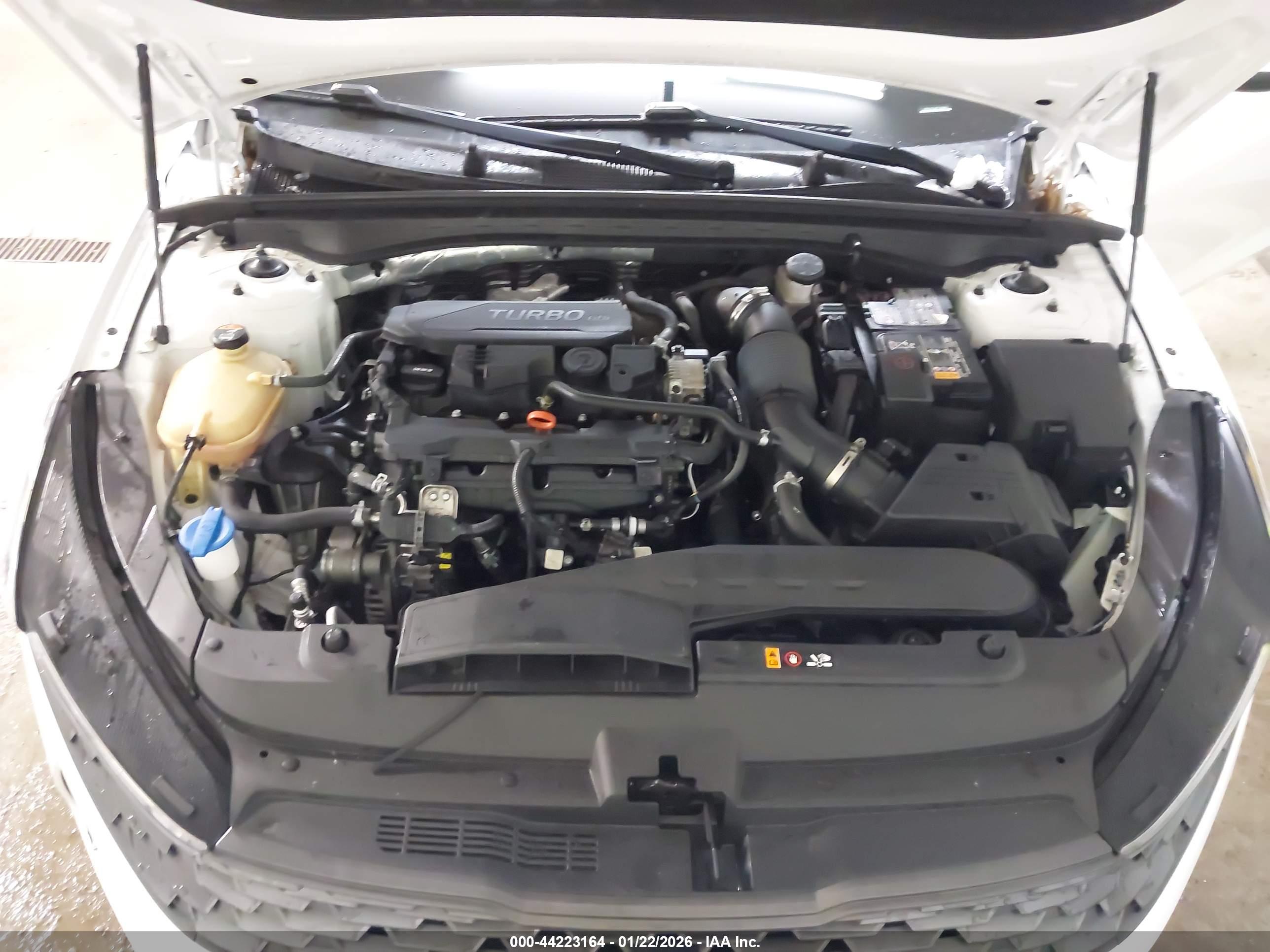 KIA K5 image 10