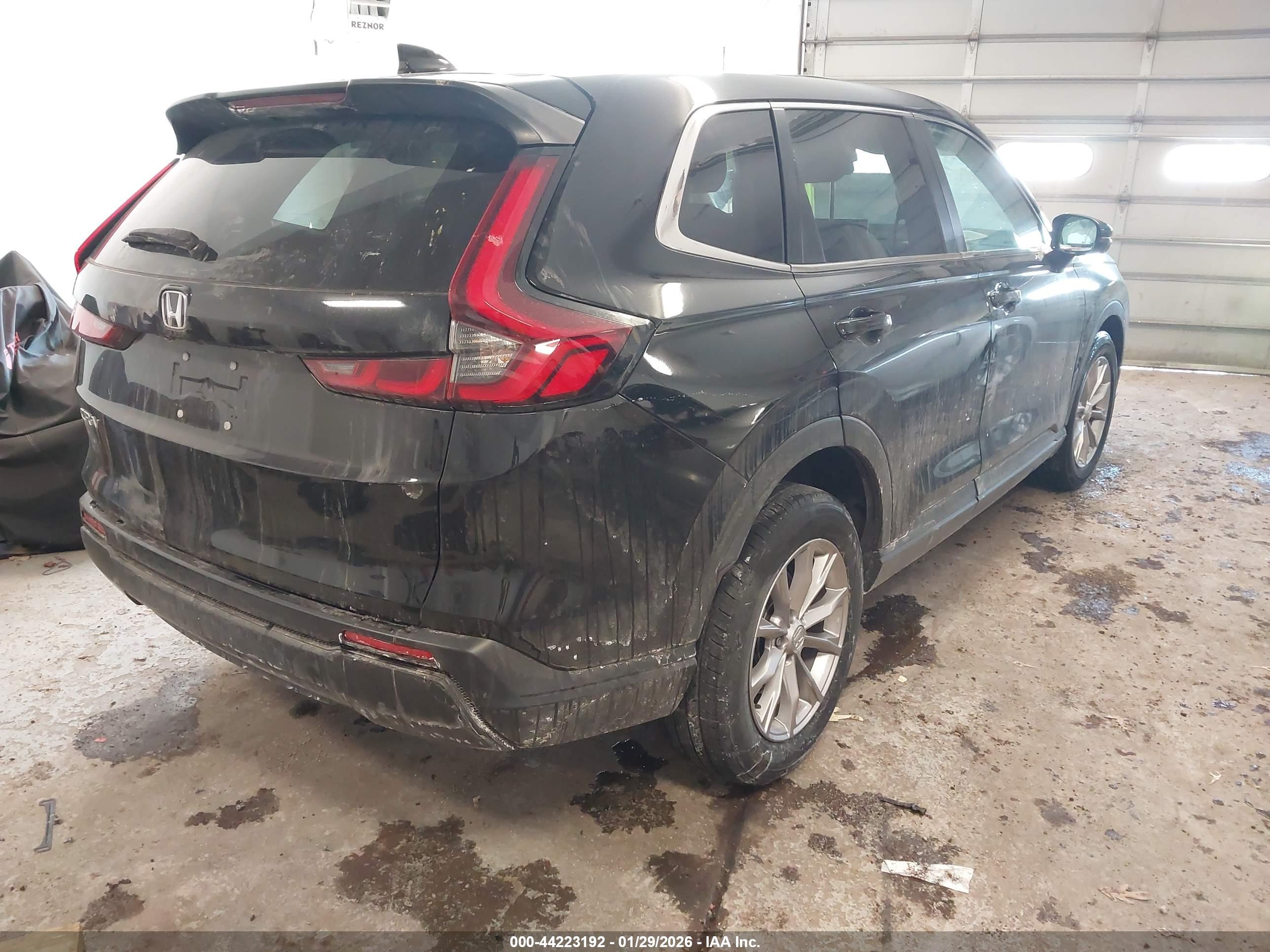 HONDA CR-V image 4