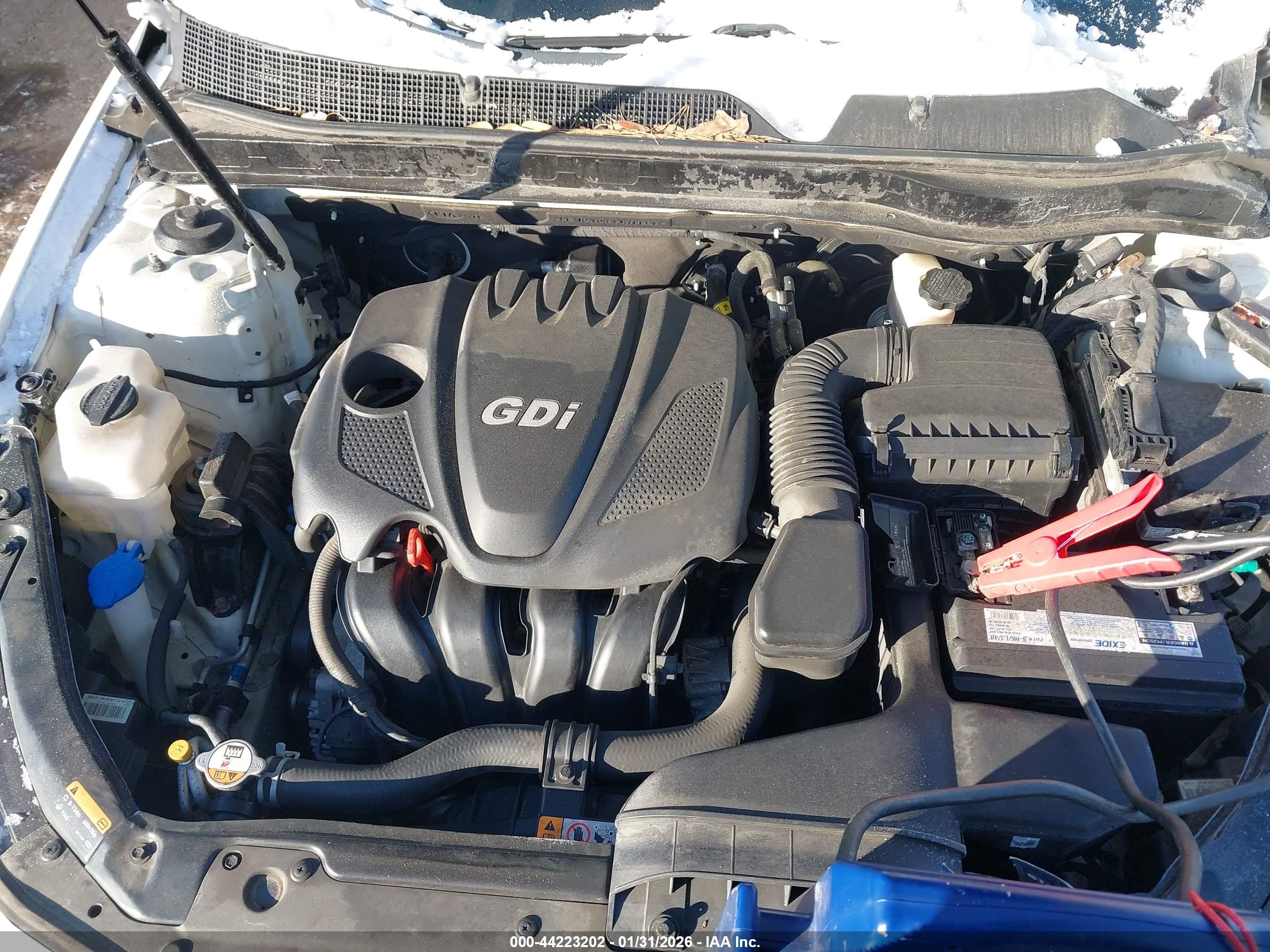 KIA OPTIMA image 10
