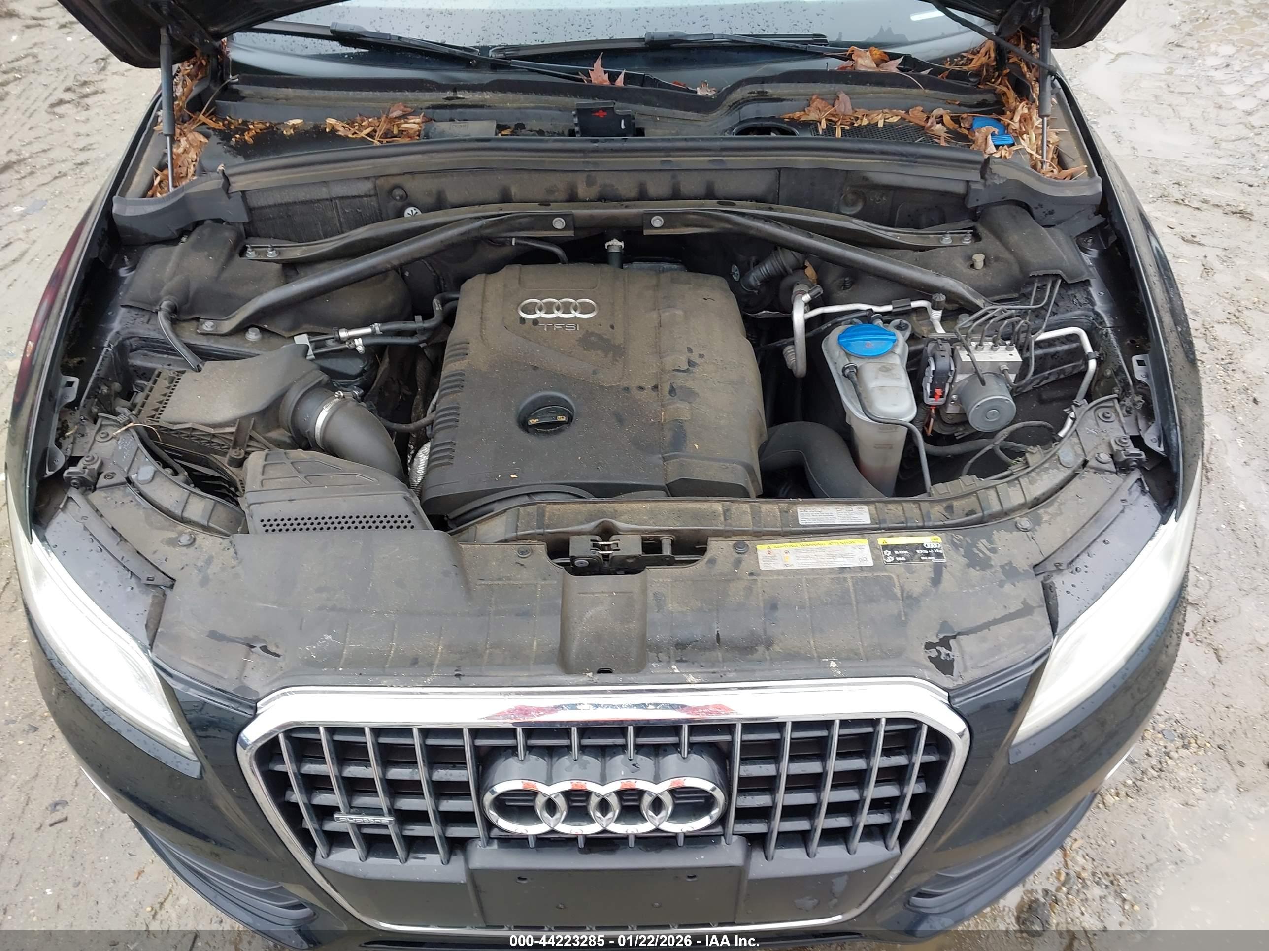 AUDI Q5 image 10