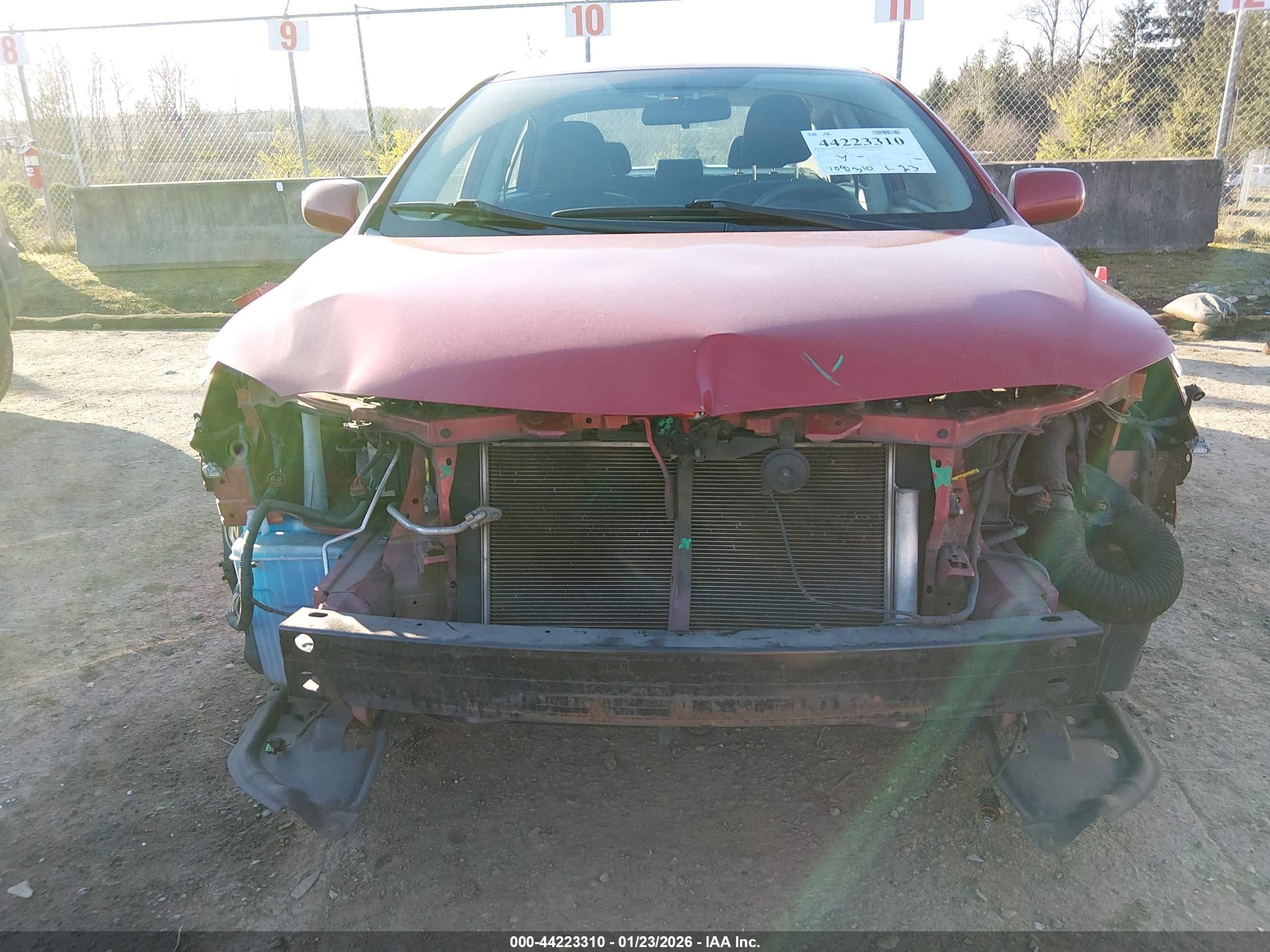 TOYOTA COROLLA image 6