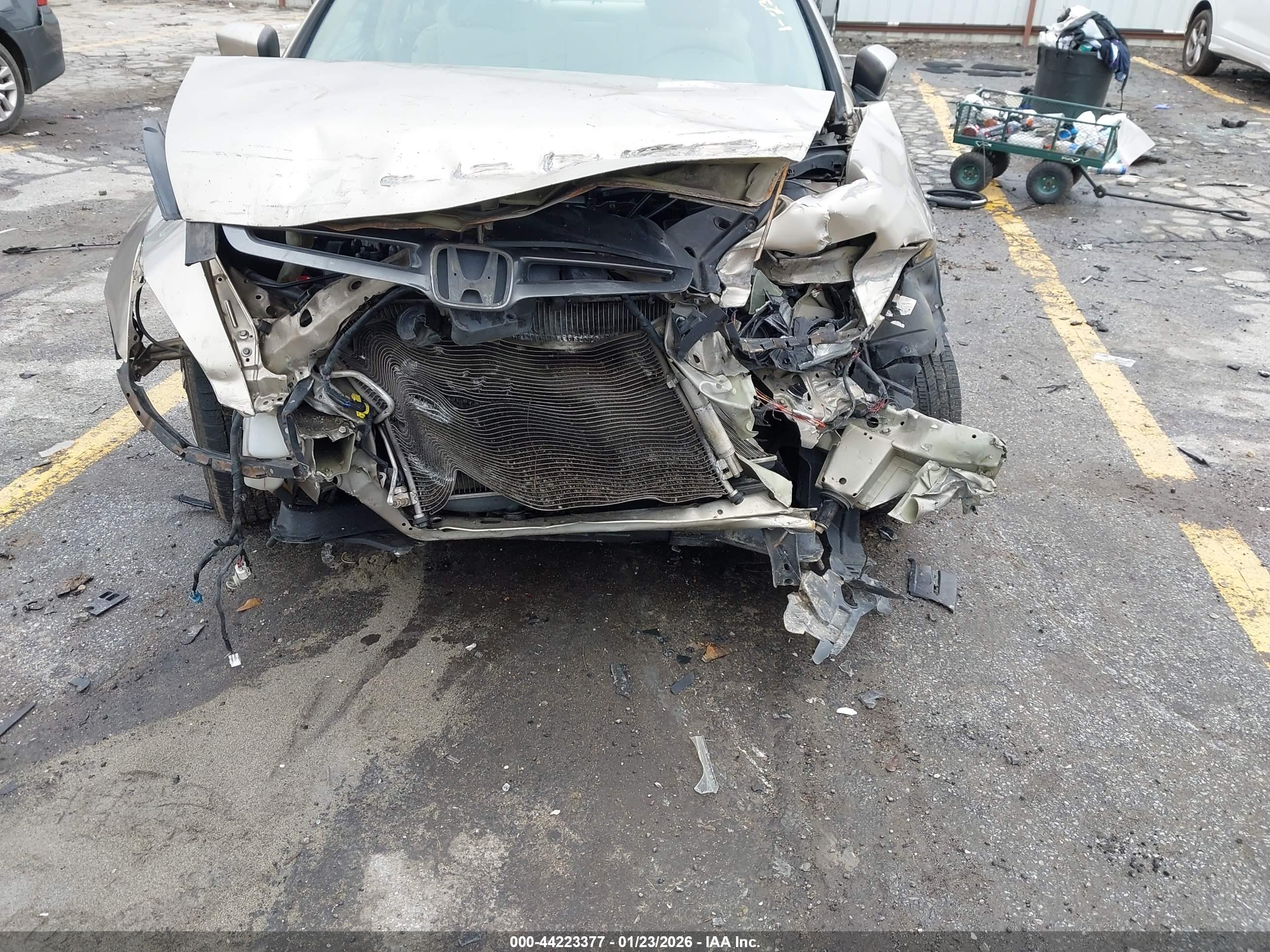 HONDA ACCORD image 6