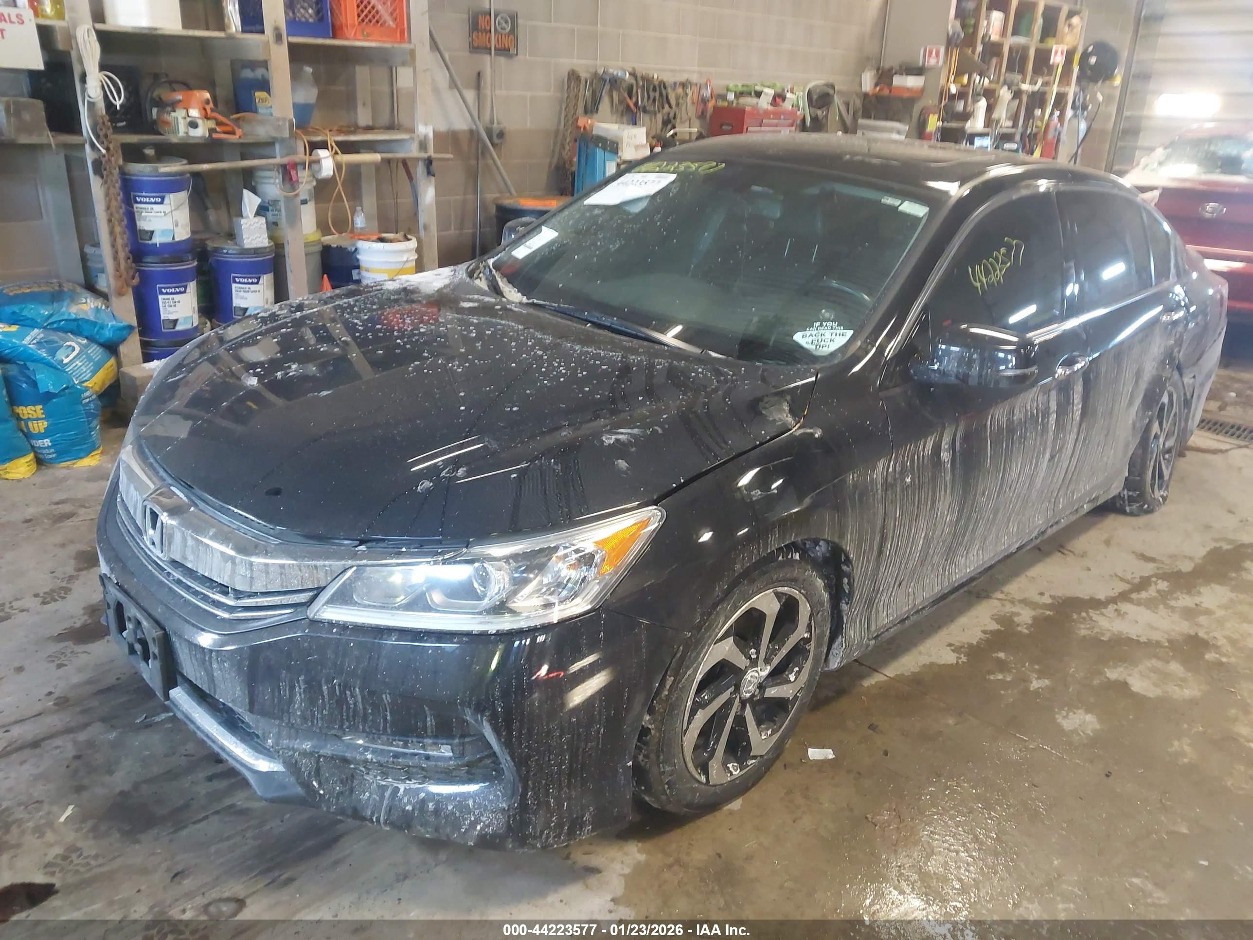 HONDA ACCORD image 2