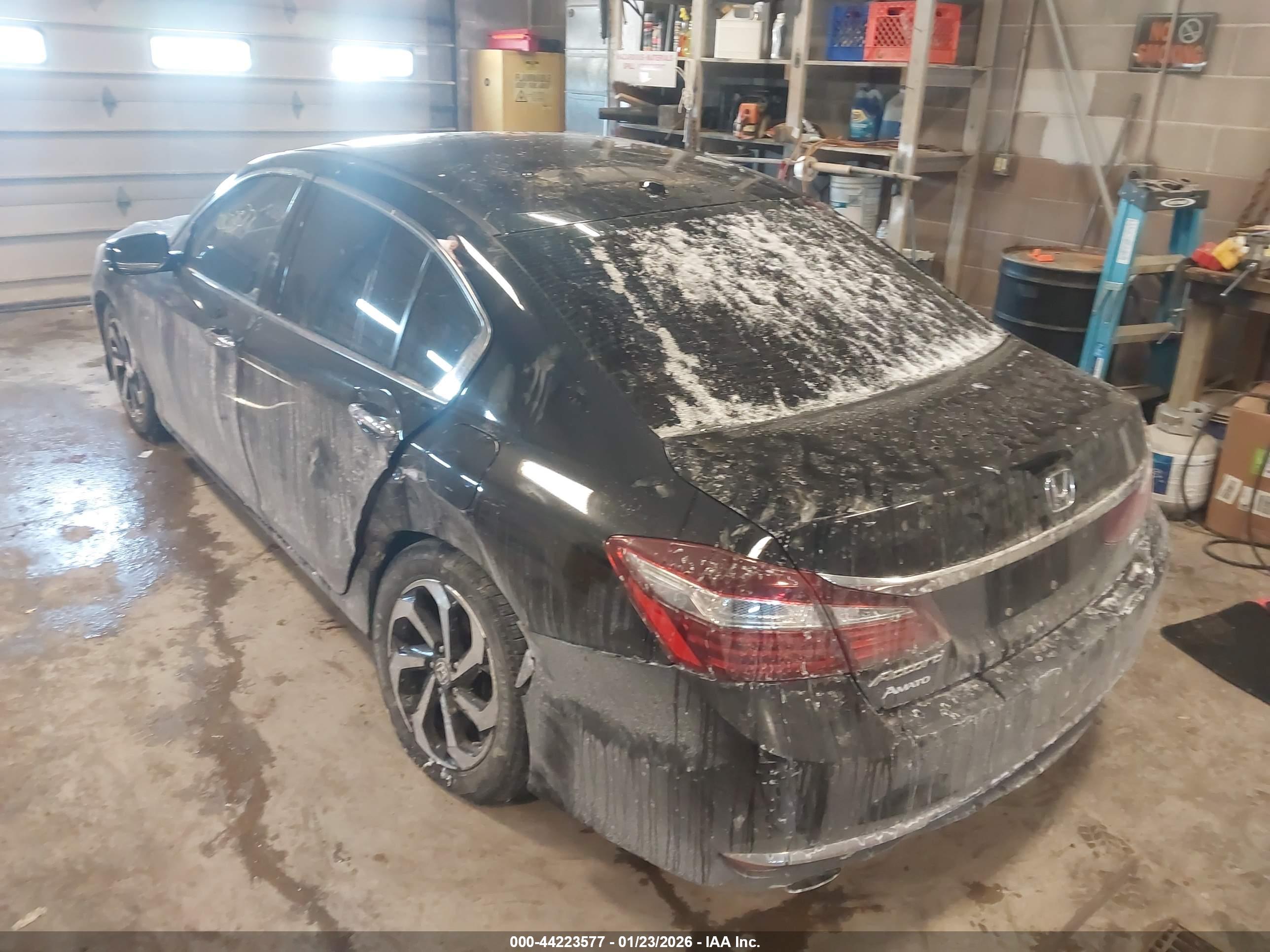 HONDA ACCORD image 3
