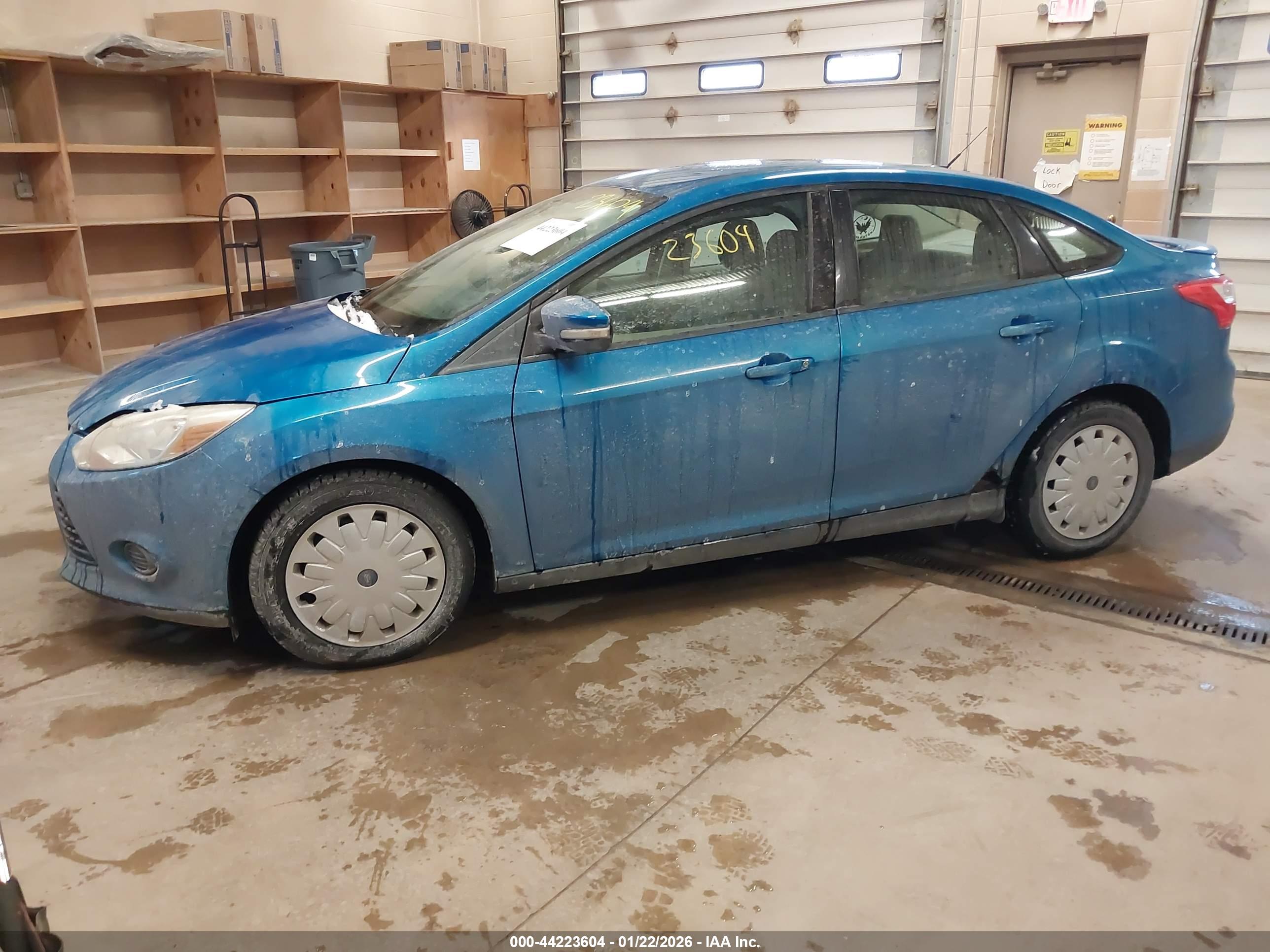FORD FOCUS image 2