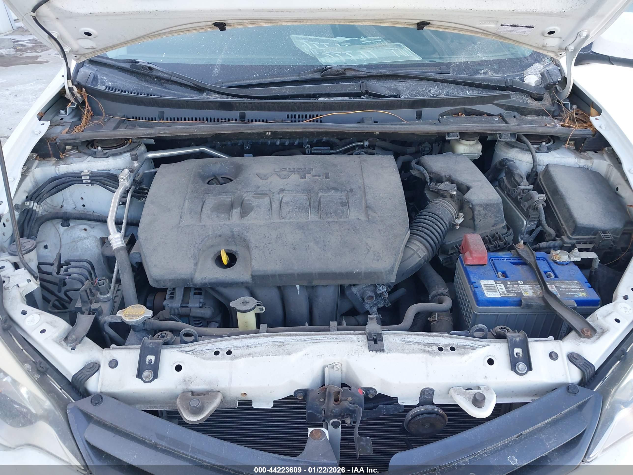 TOYOTA COROLLA image 10