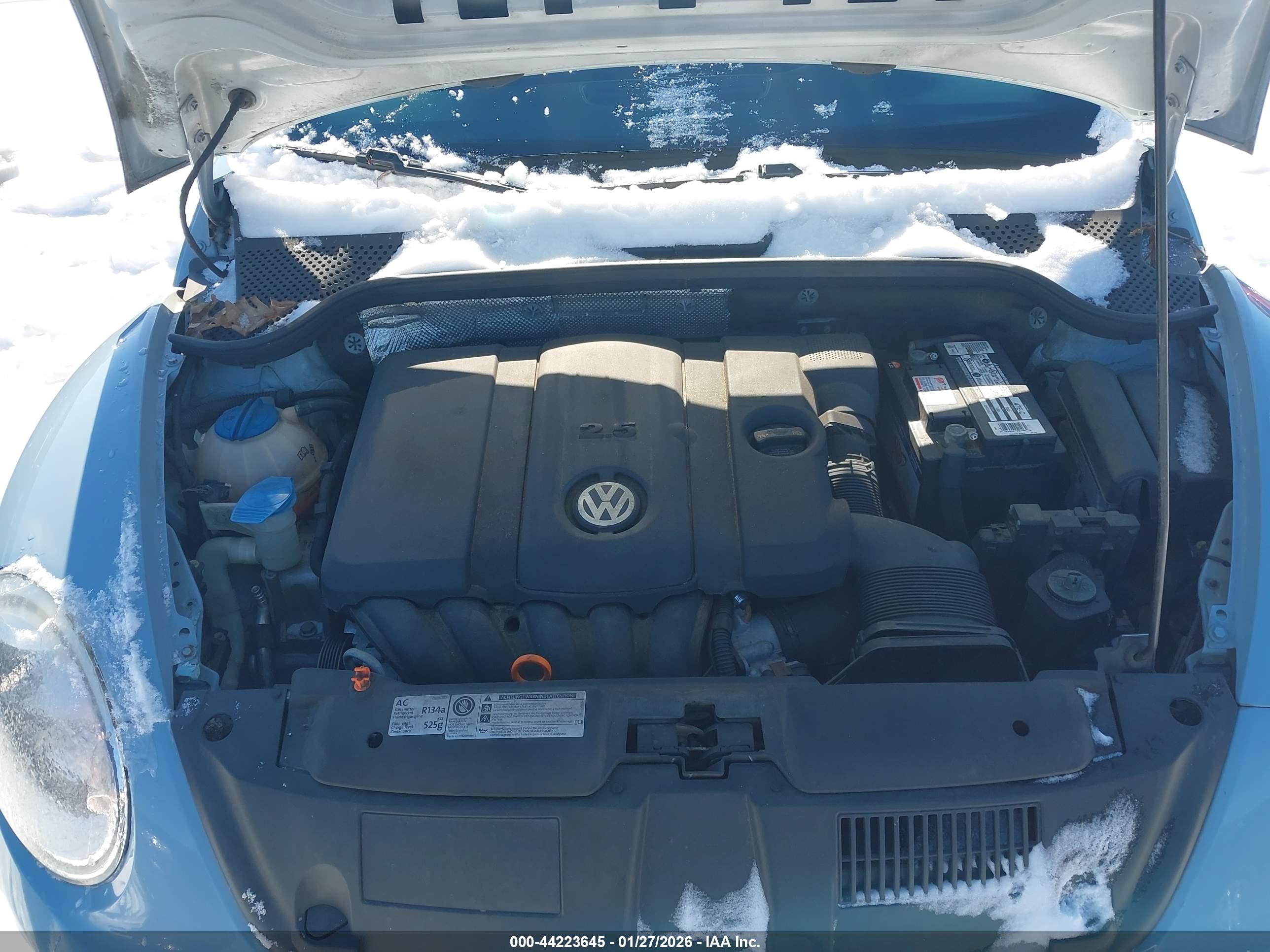 VOLKSWAGEN BEETLE image 10
