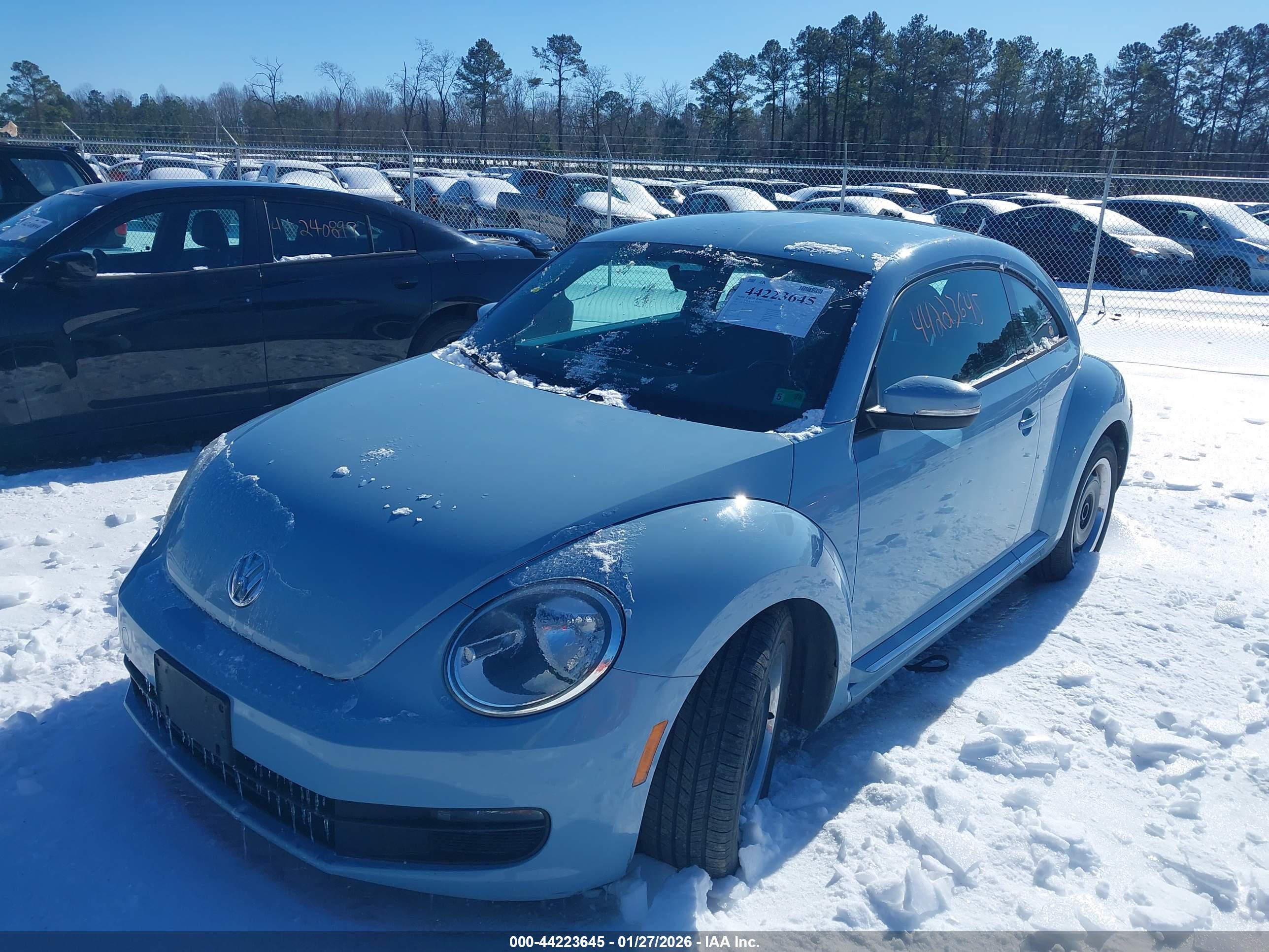 VOLKSWAGEN BEETLE image 2
