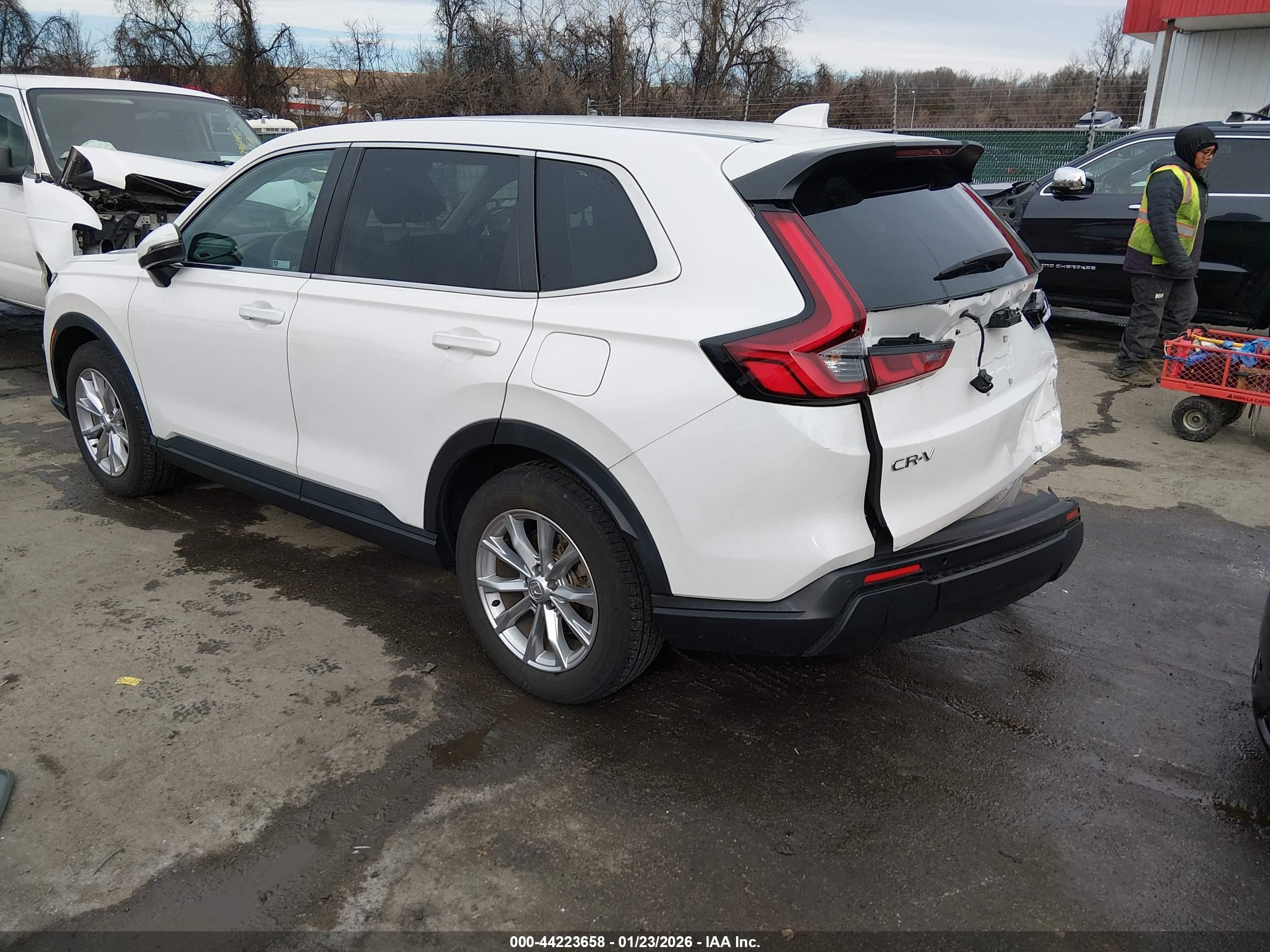 HONDA CR-V image 3