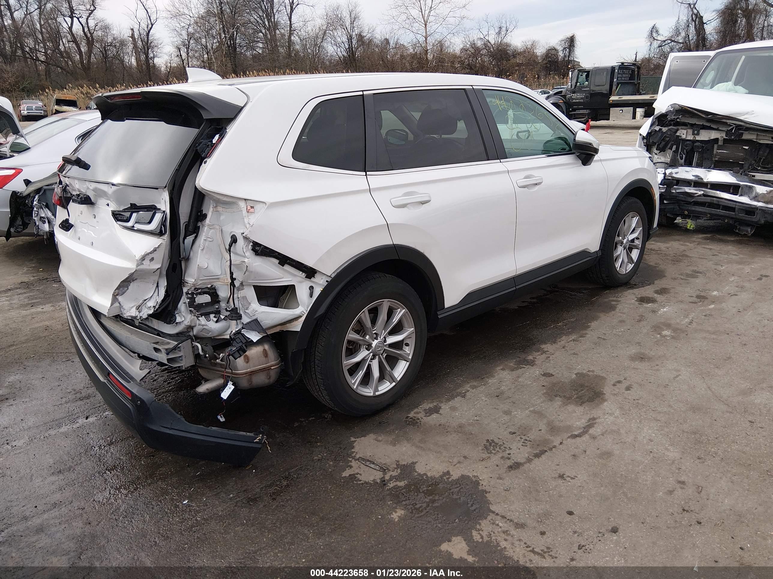 HONDA CR-V image 4