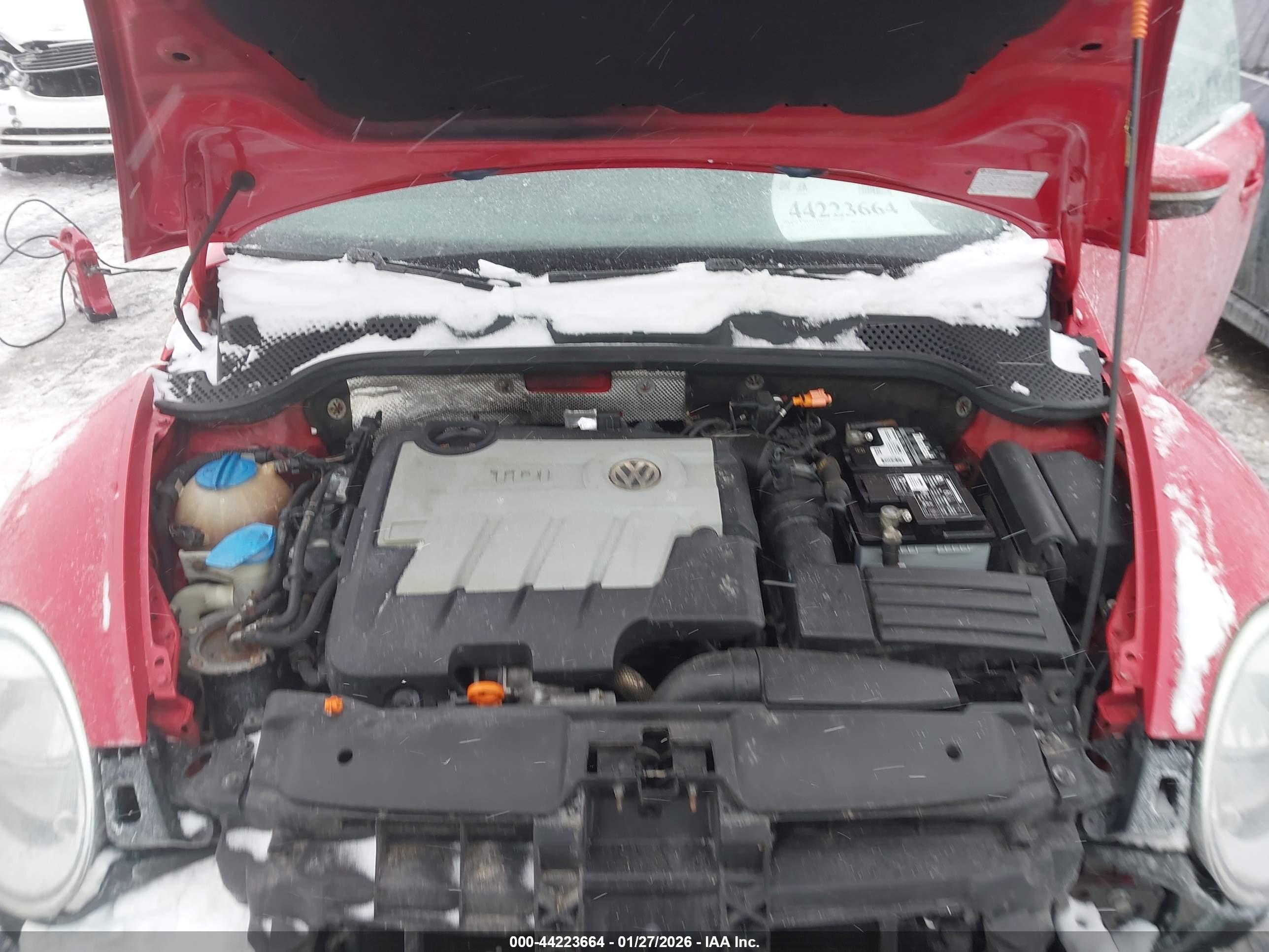 VOLKSWAGEN BEETLE image 10