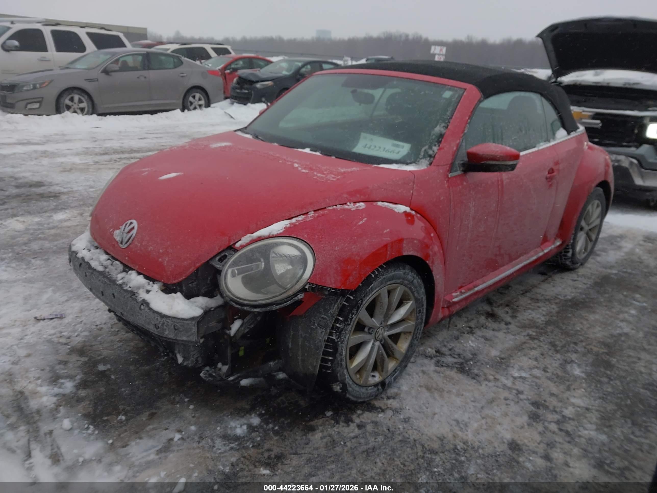 VOLKSWAGEN BEETLE image 2