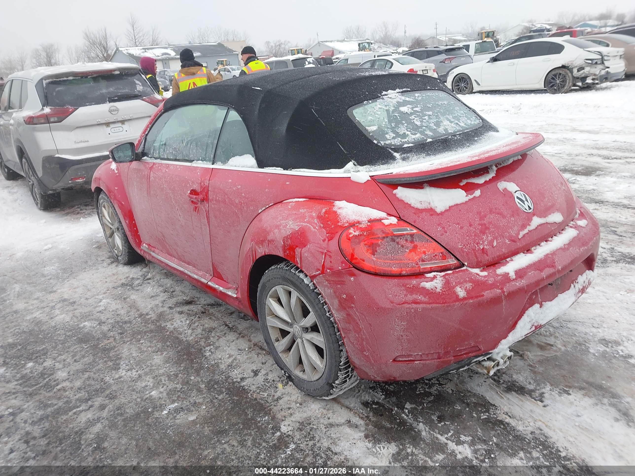 VOLKSWAGEN BEETLE image 3