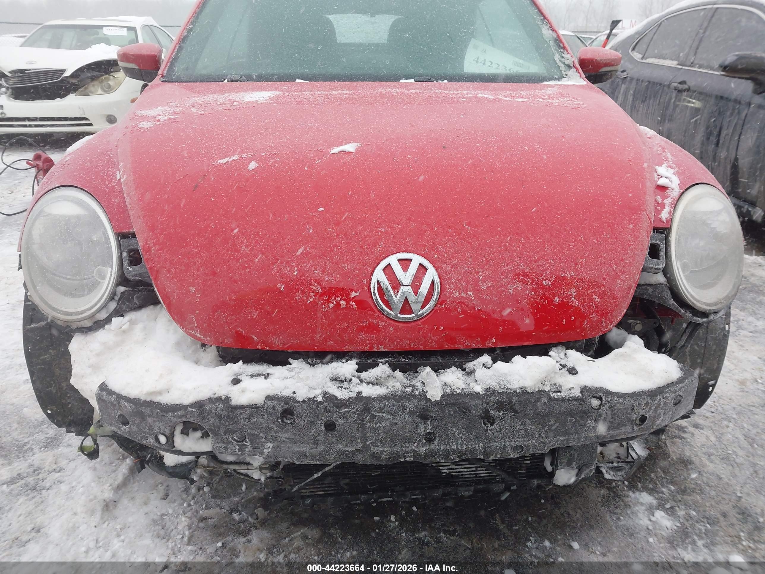 VOLKSWAGEN BEETLE image 6