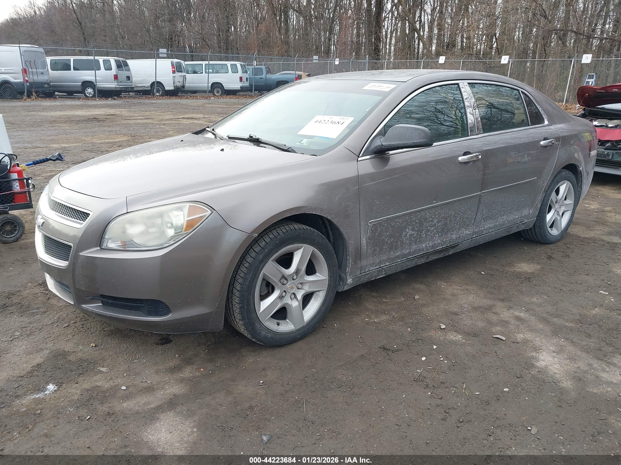 CHEVROLET MALIBU image 2