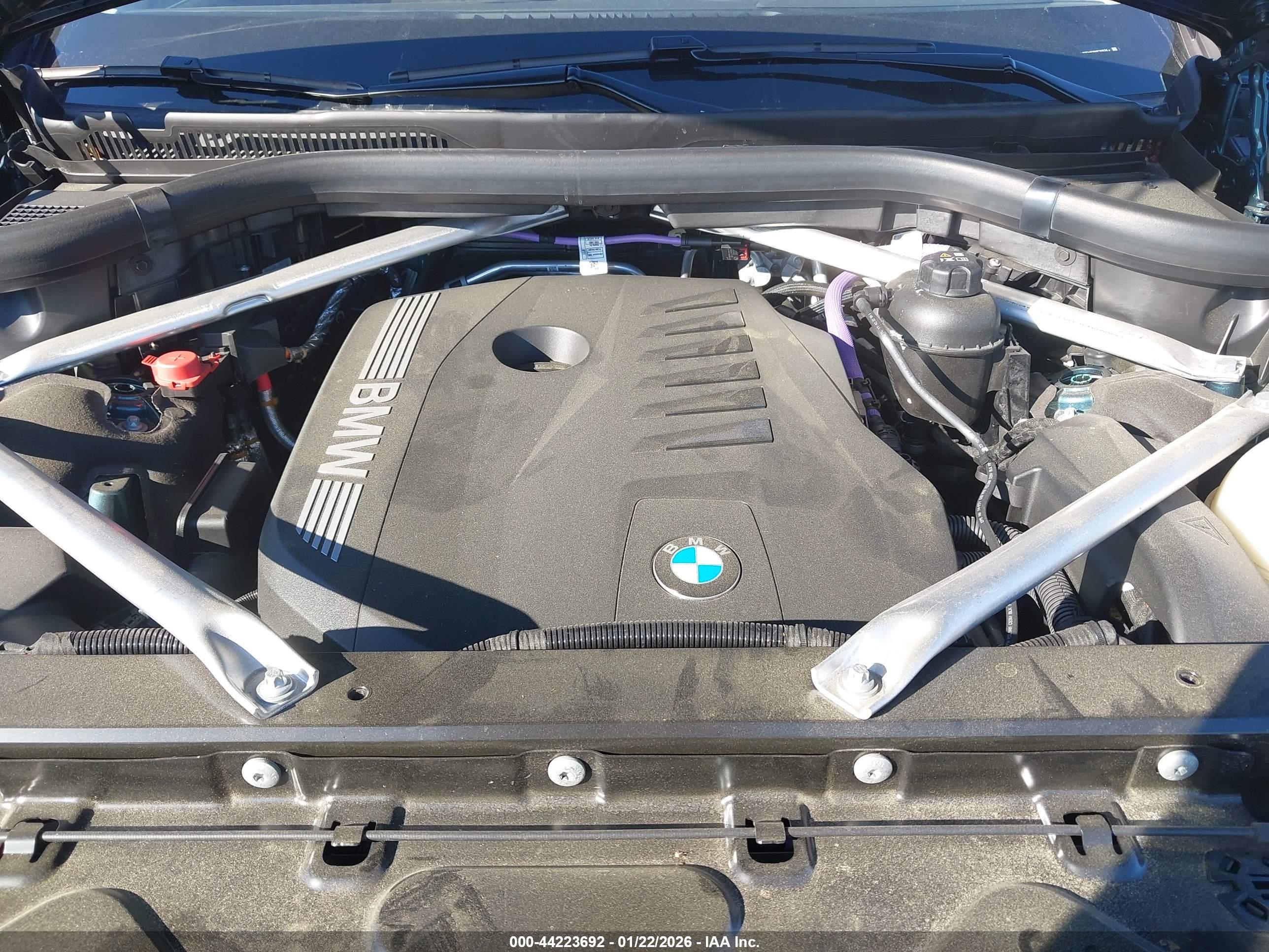 BMW X7 image 10