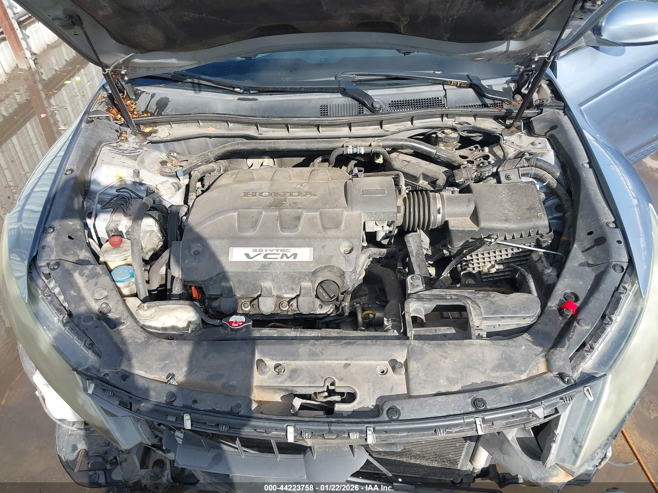 HONDA ACCORD image 10
