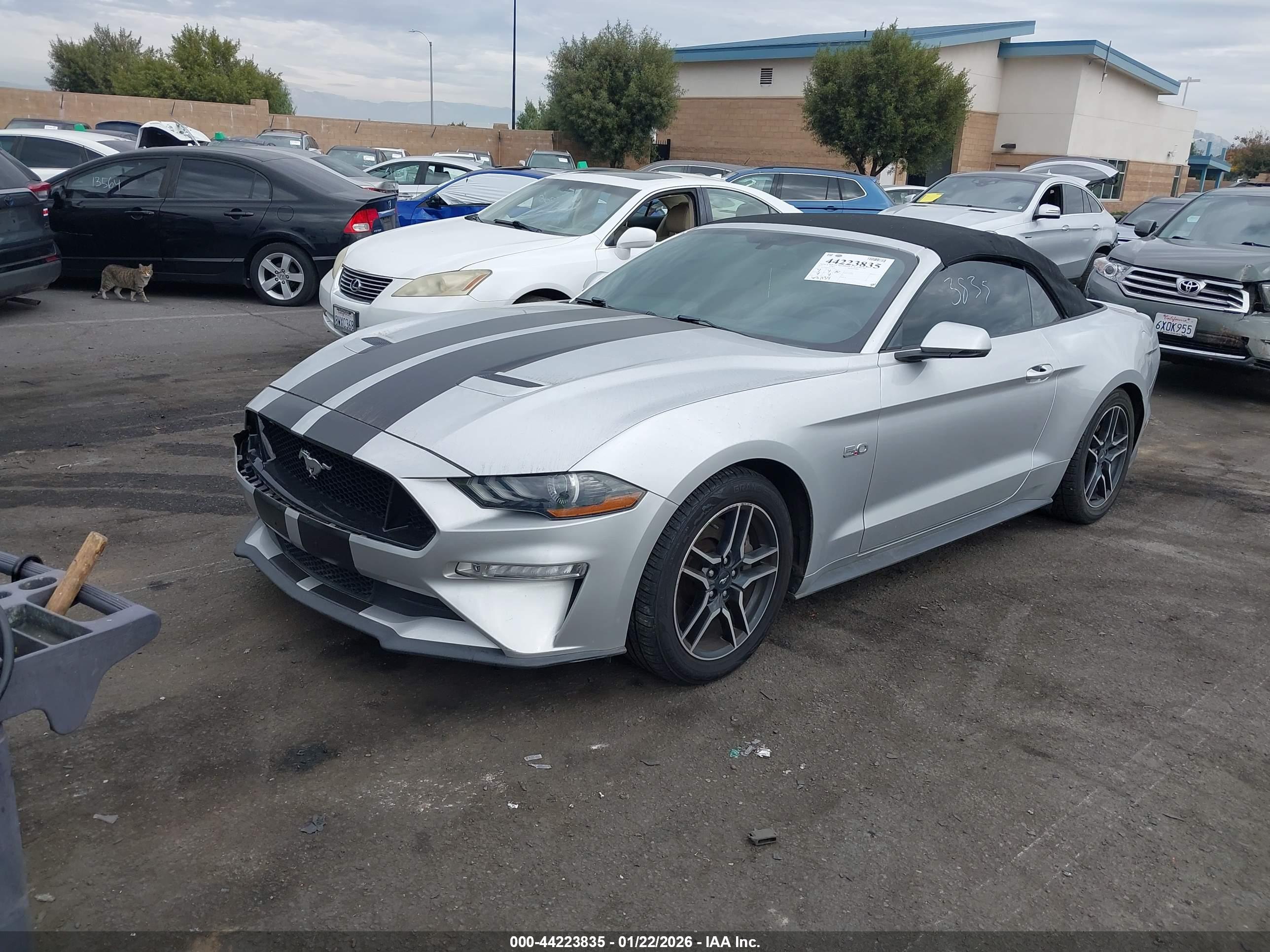 FORD MUSTANG image 2