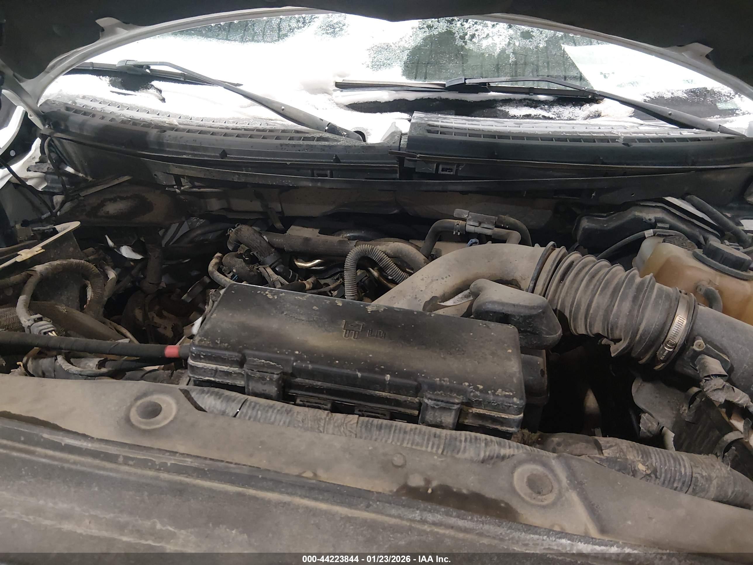 FORD F-150 image 10