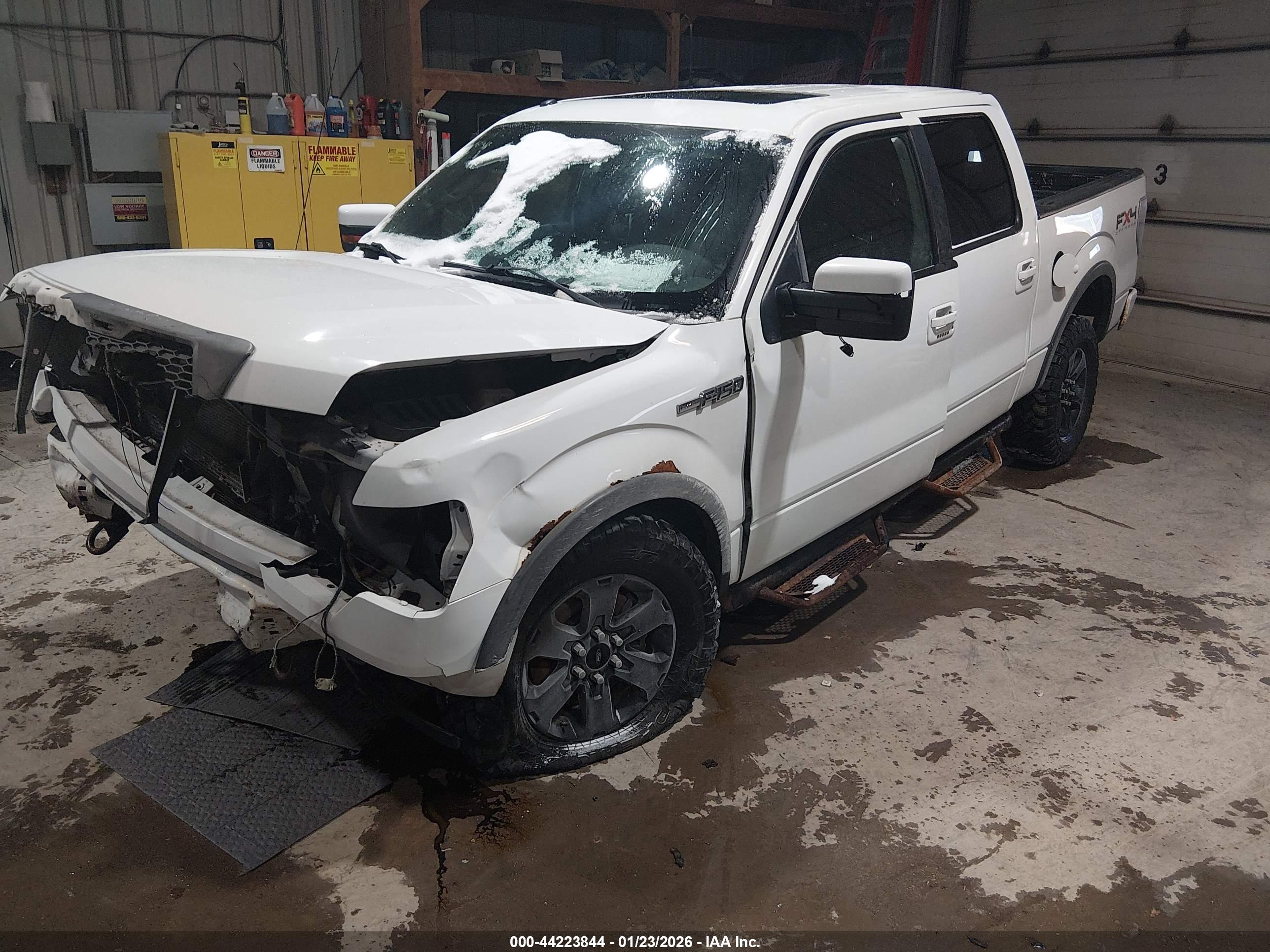 FORD F-150 image 2