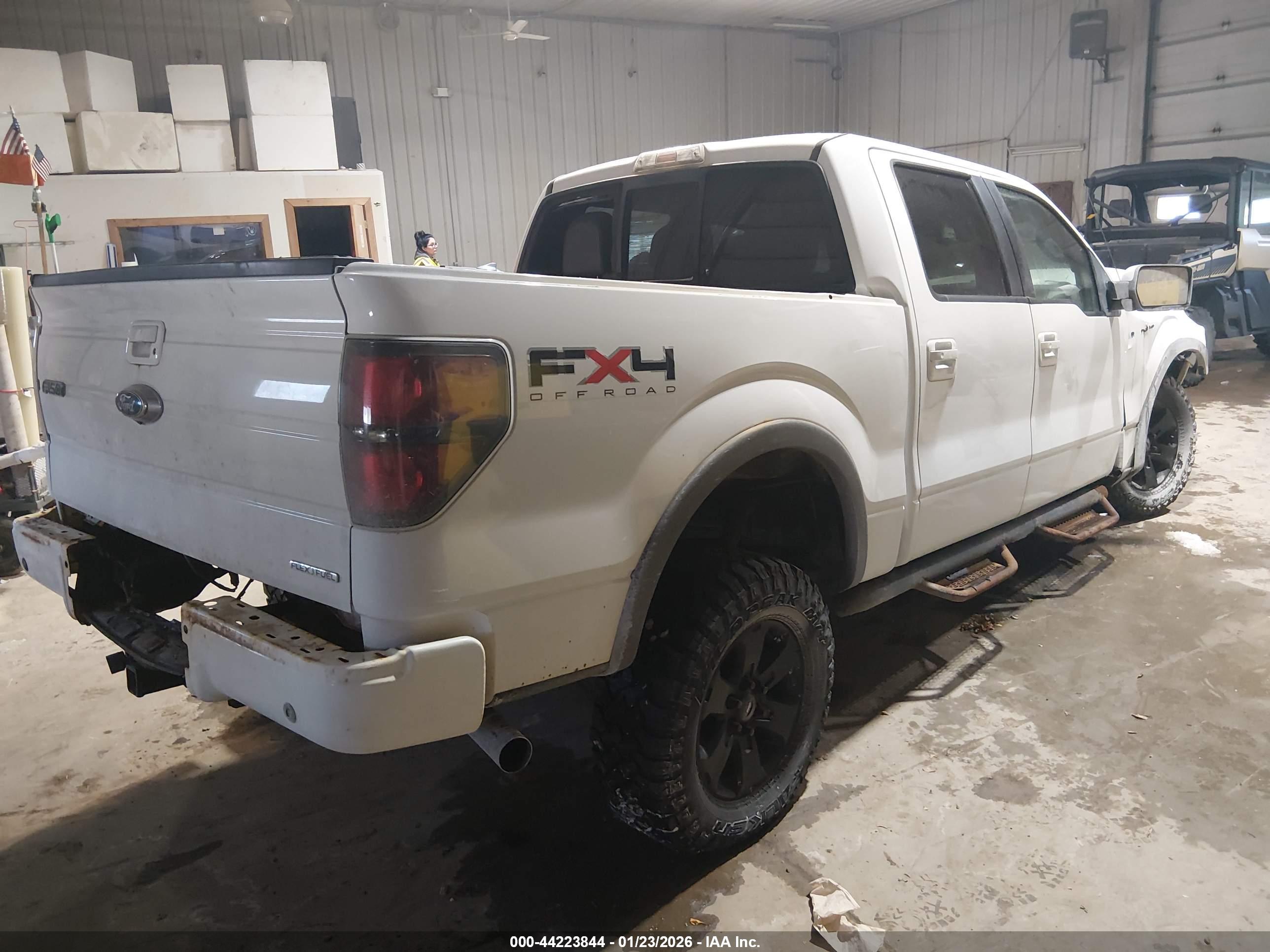 FORD F-150 image 4