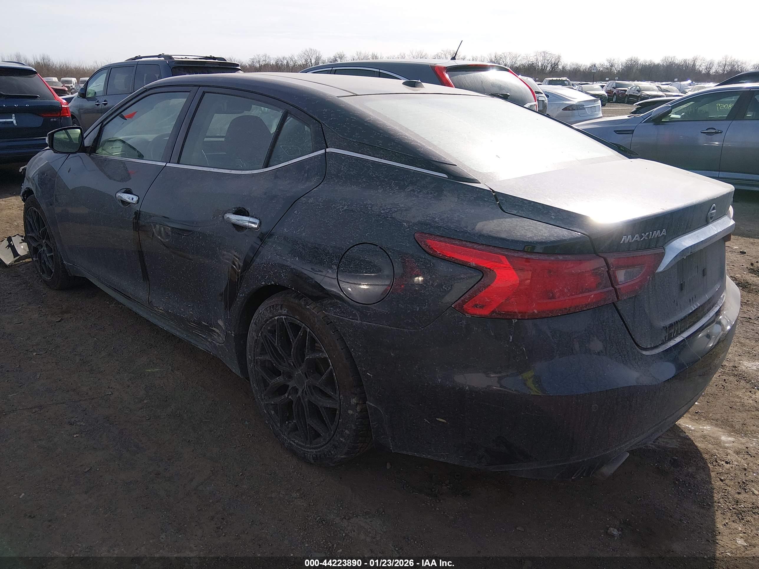 NISSAN MAXIMA image 3