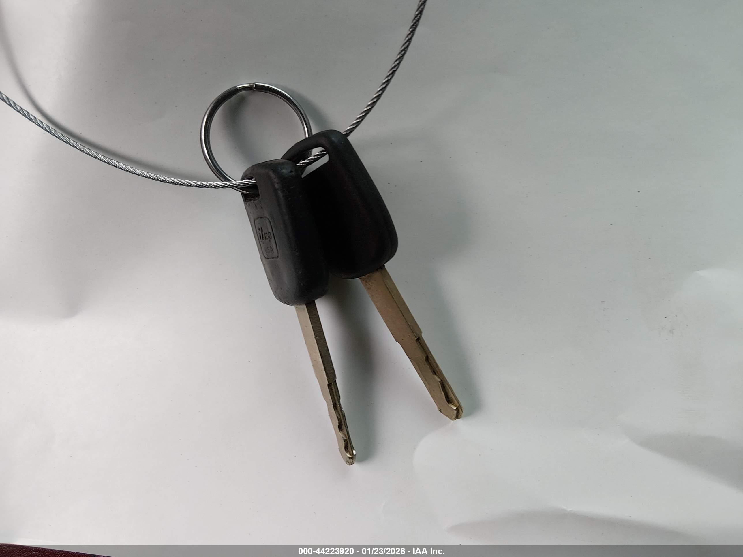 HONDA ACCORD image 11