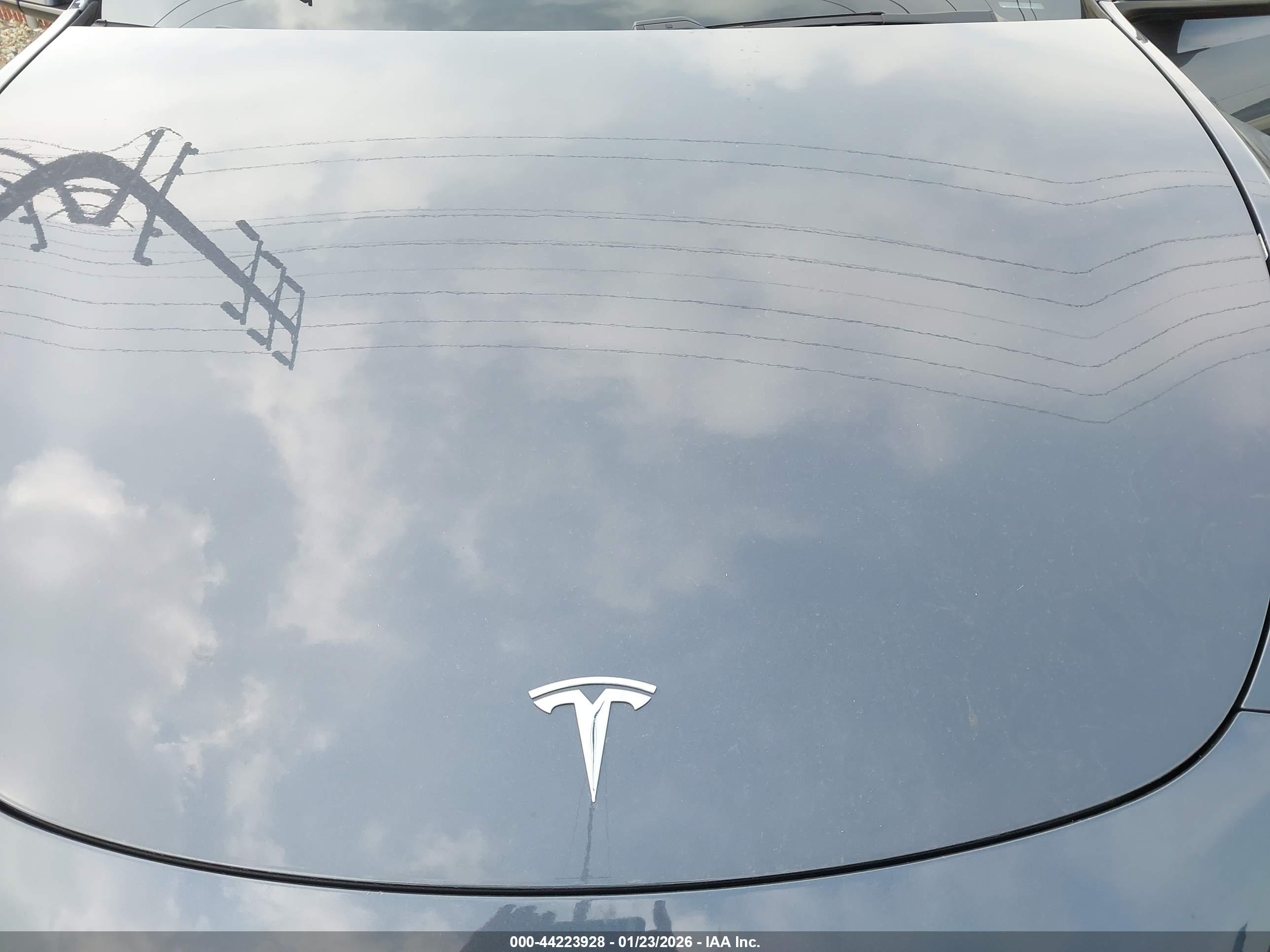 TESLA MODEL image 10