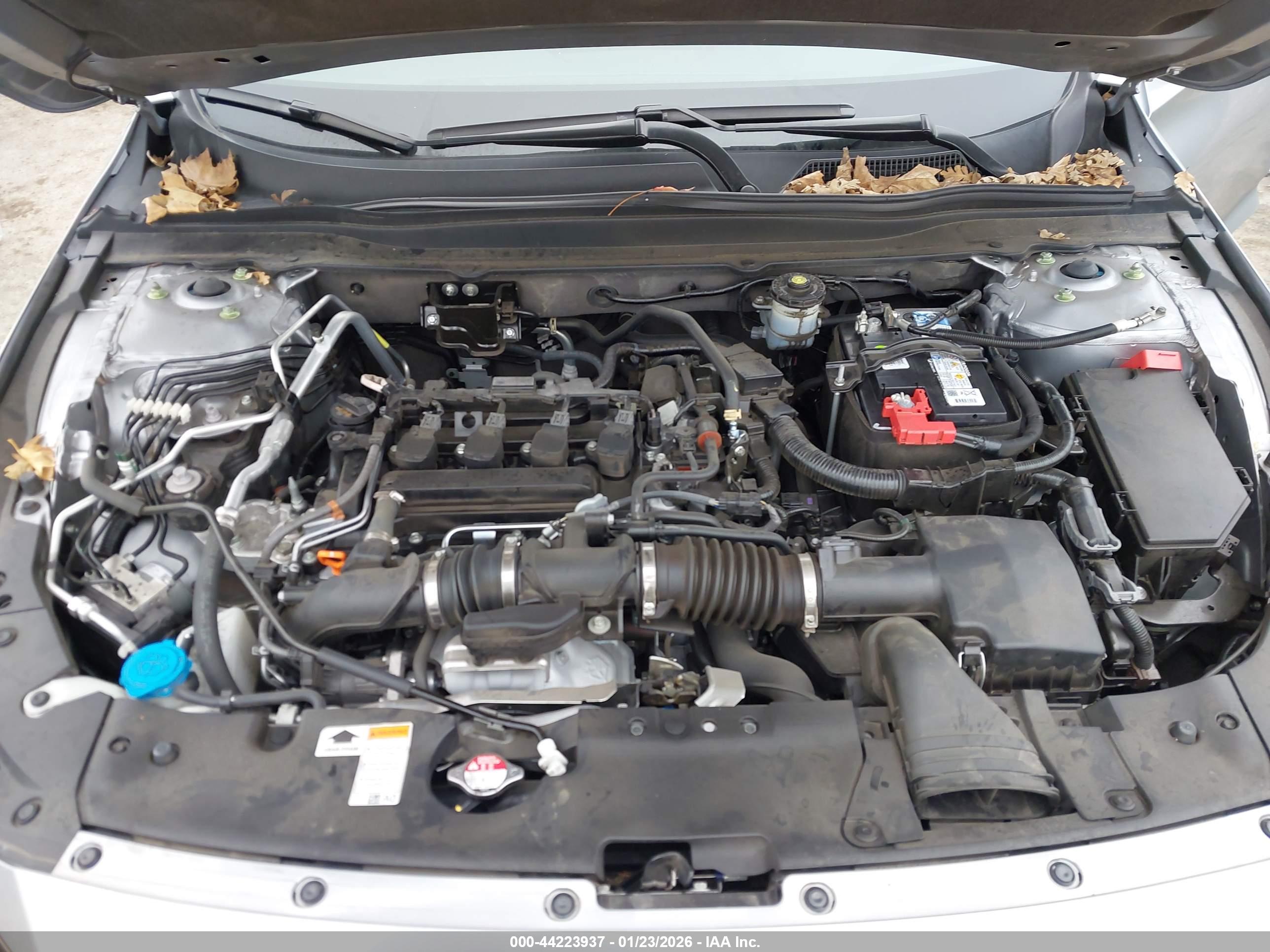 HONDA ACCORD image 10
