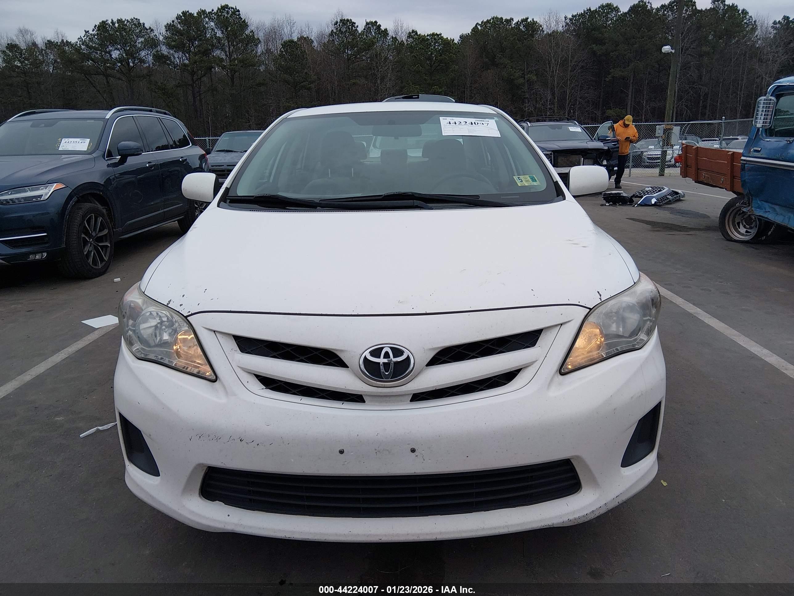 TOYOTA COROLLA image 6