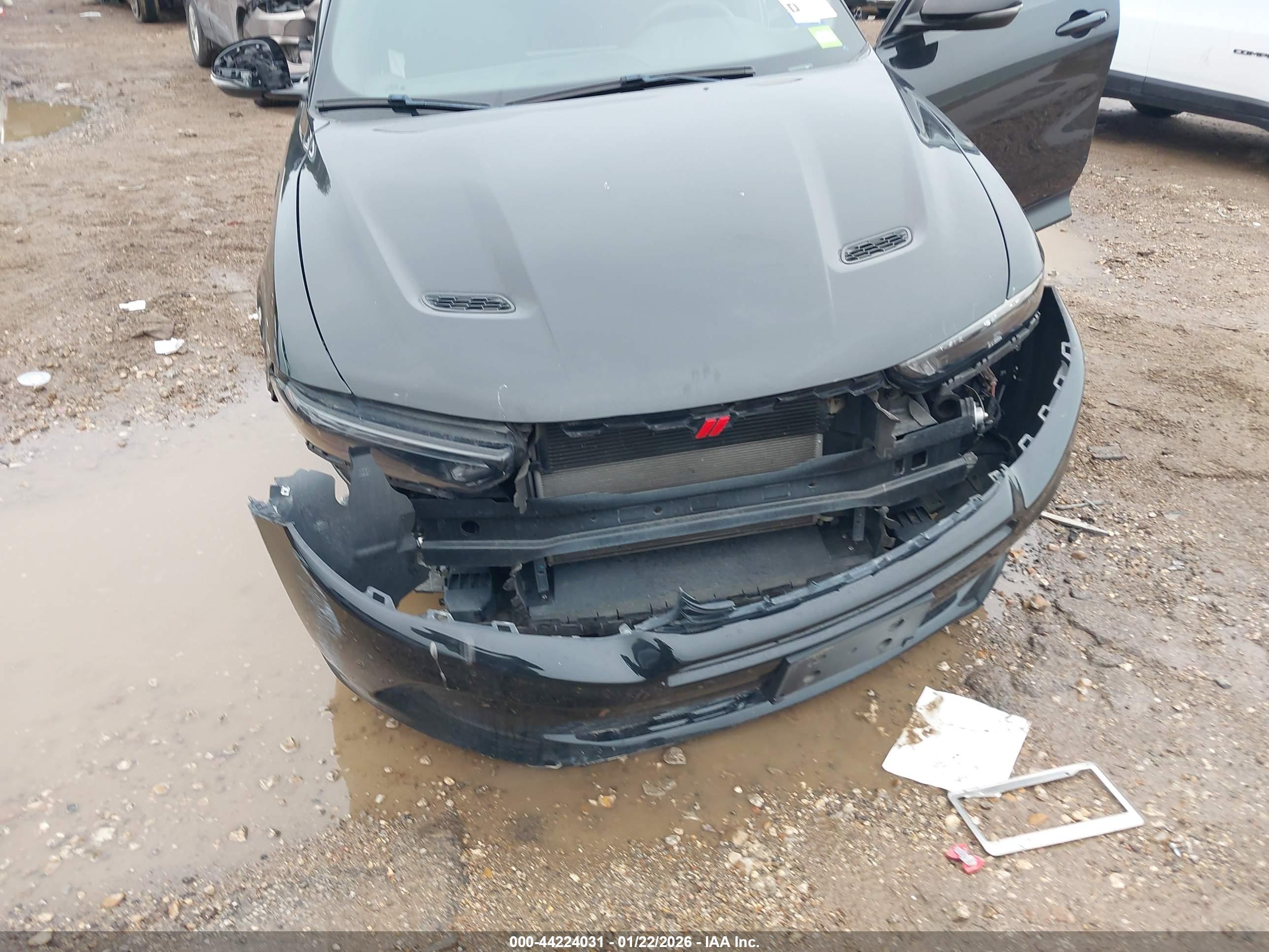 DODGE HORNET image 6