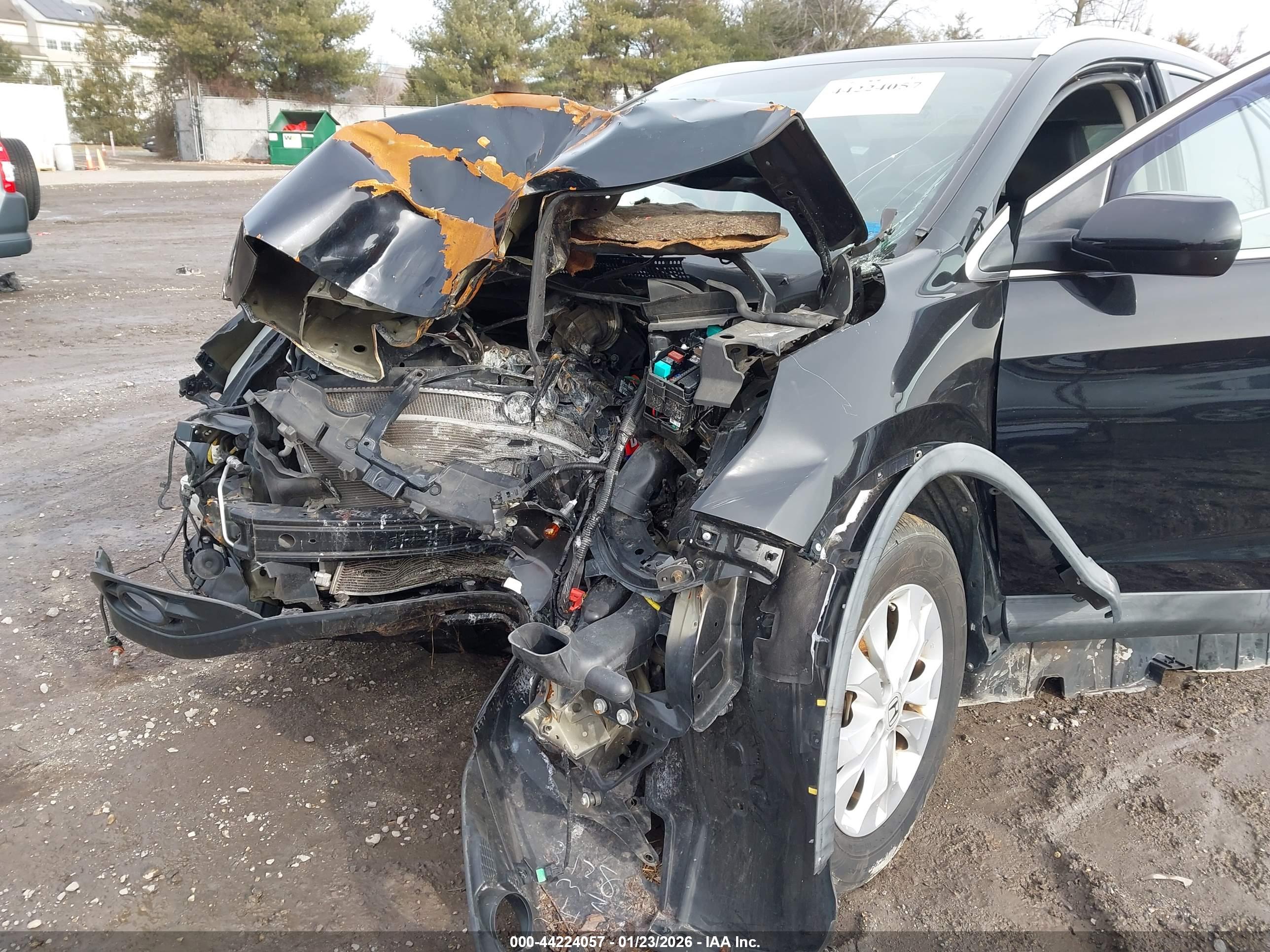HONDA CR-V image 6