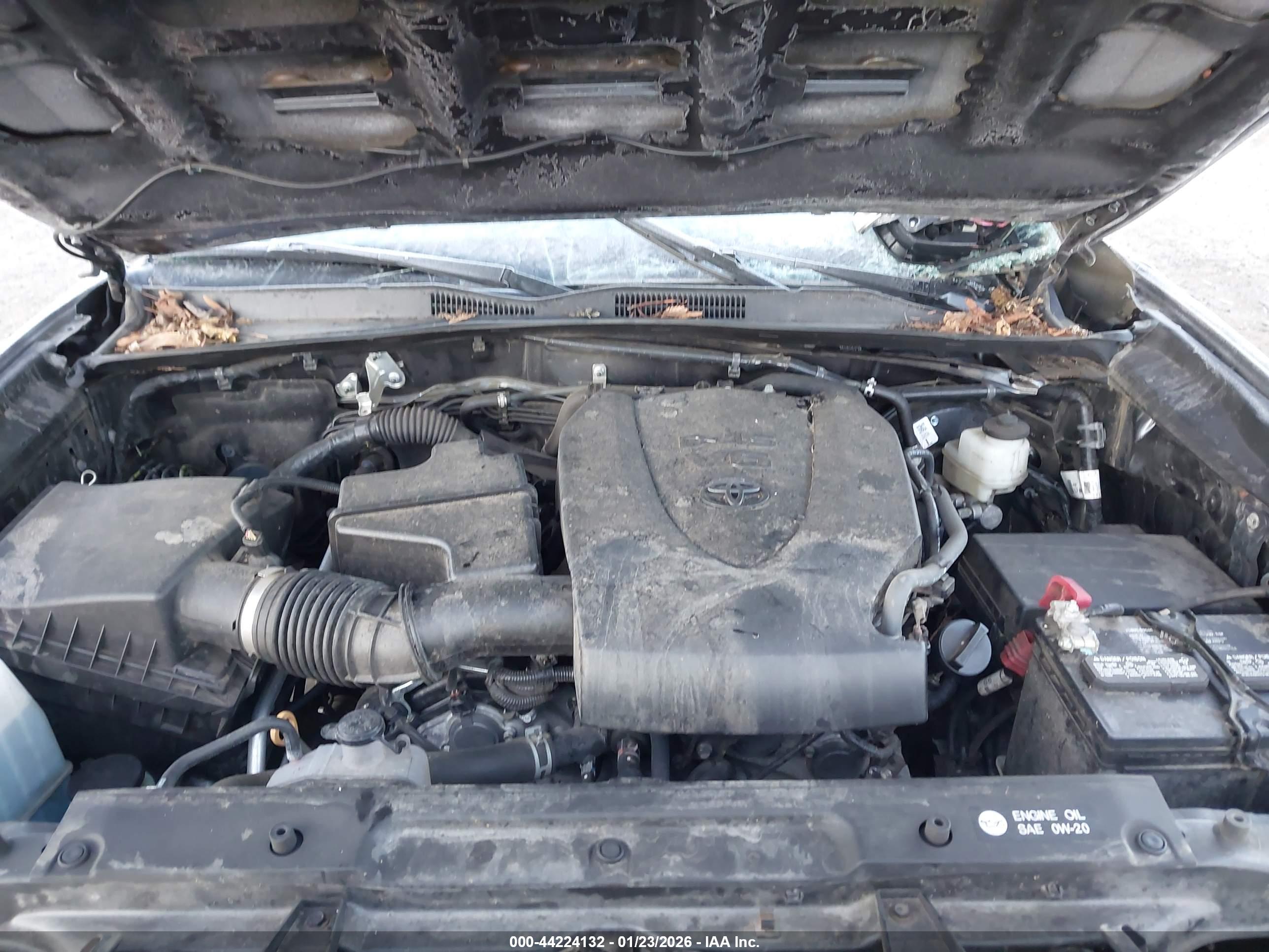 TOYOTA TACOMA image 10