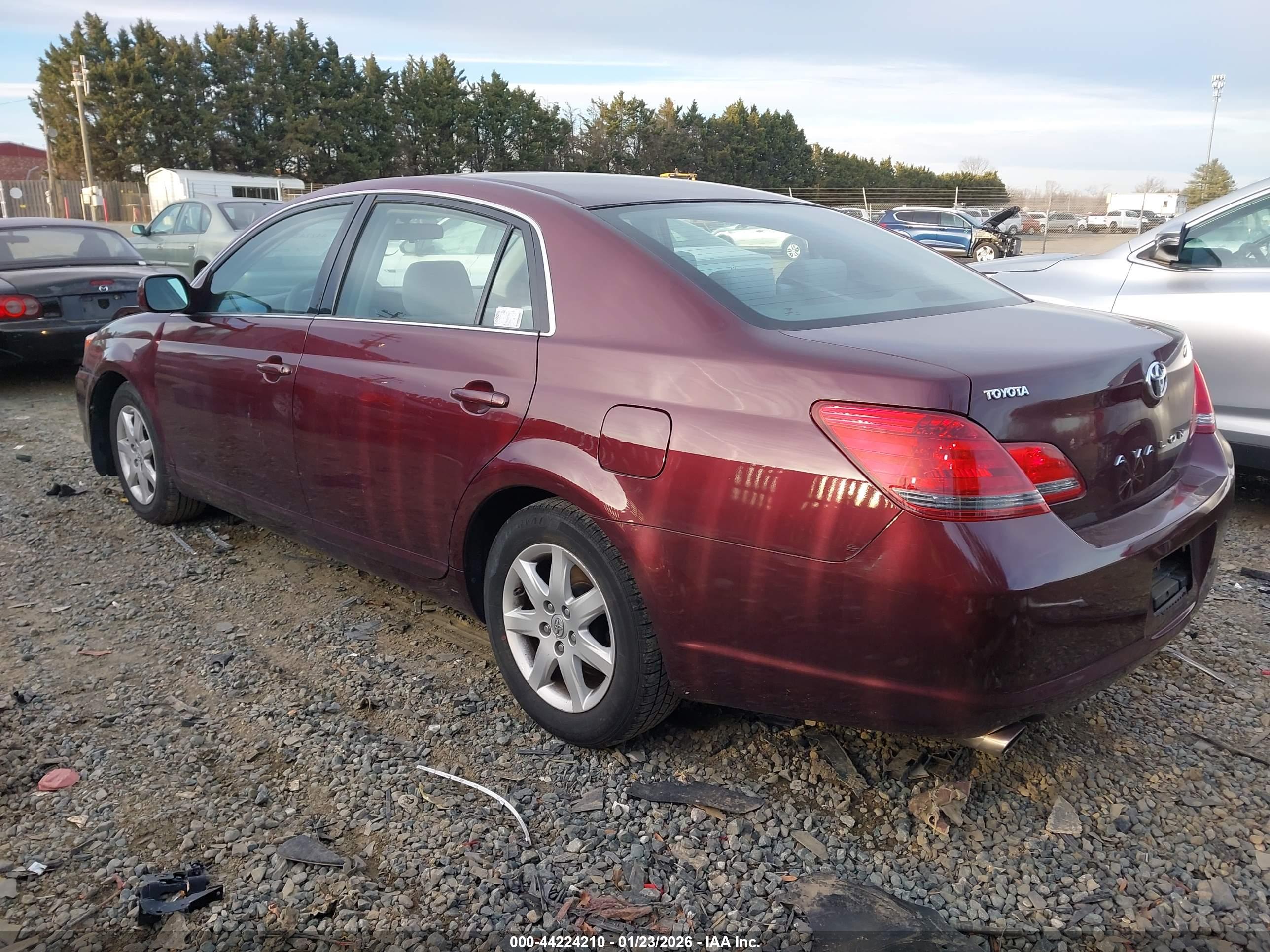 TOYOTA AVALON image 3
