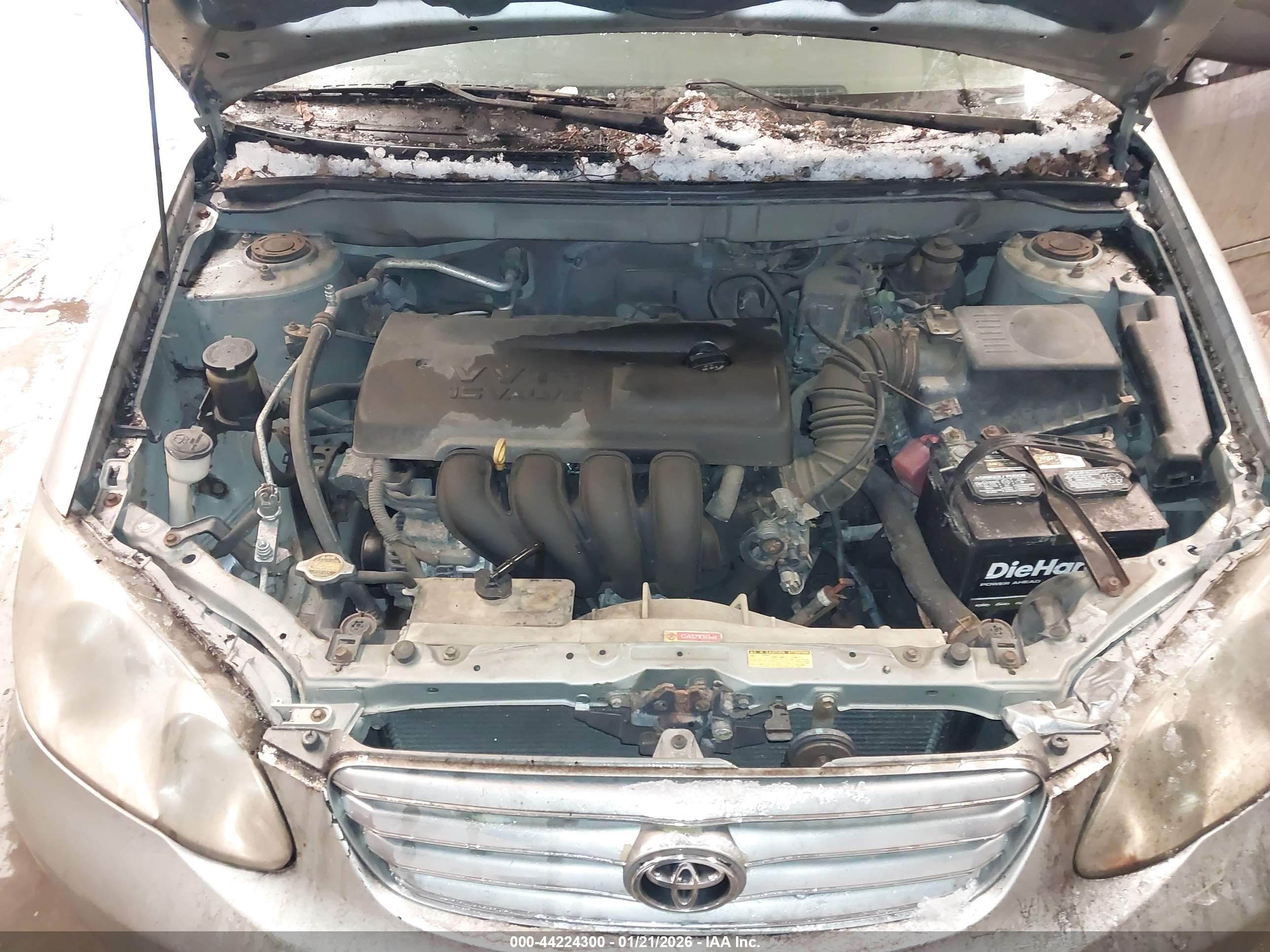 TOYOTA COROLLA image 10