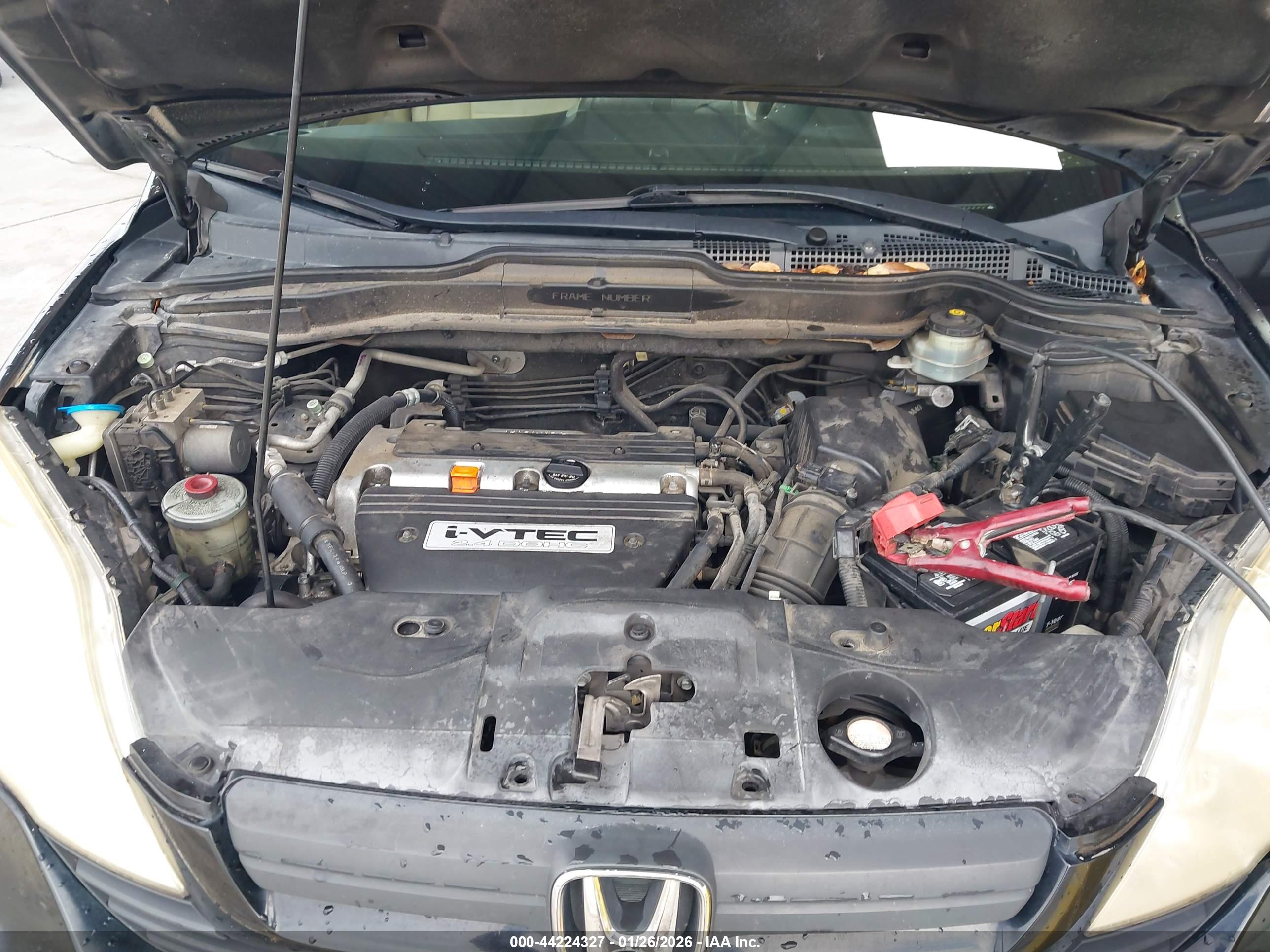 HONDA CR-V image 10