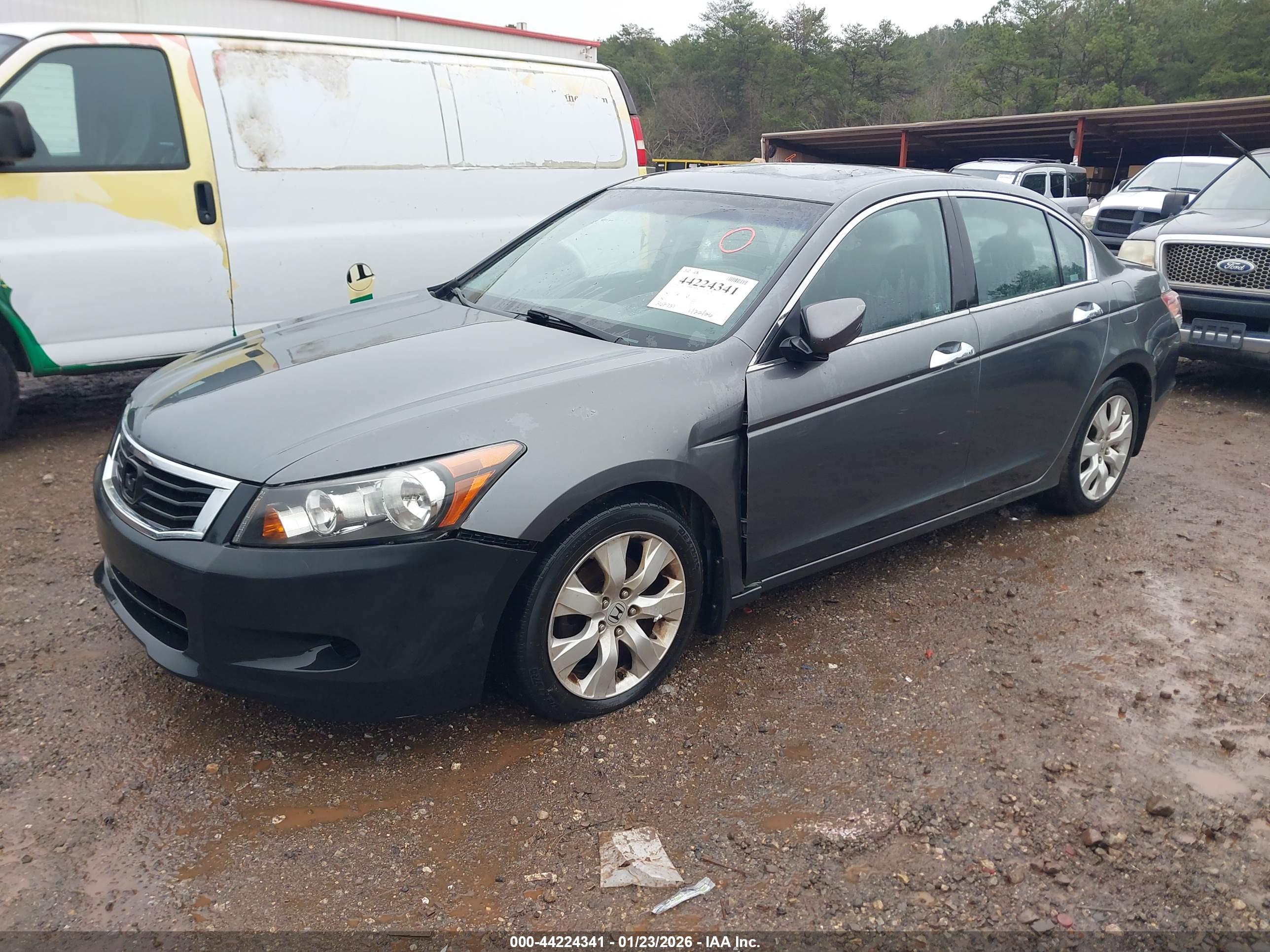 HONDA ACCORD image 2