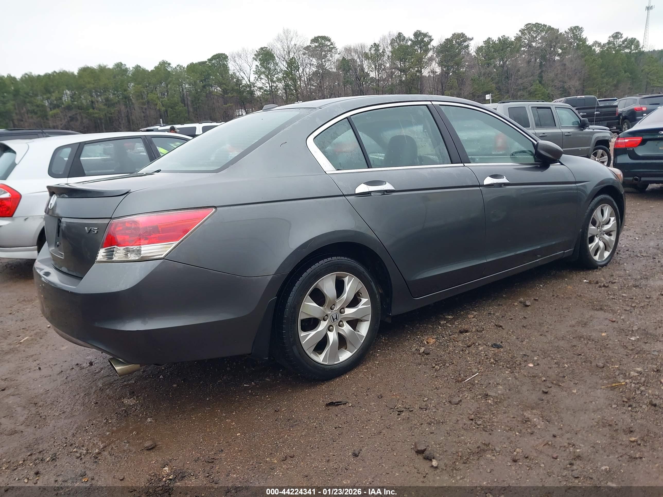 HONDA ACCORD image 4