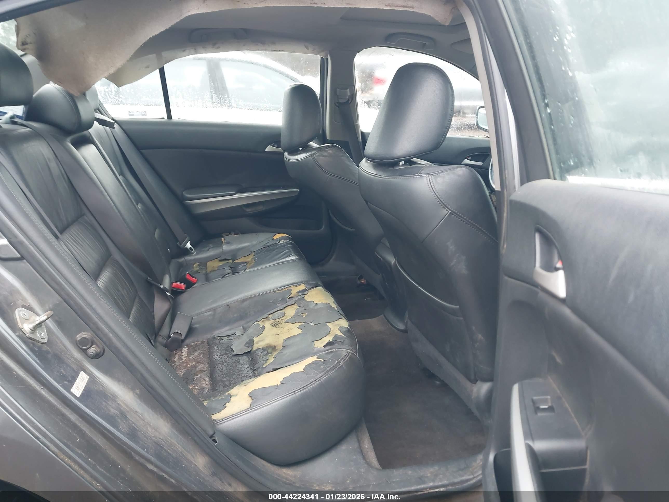 HONDA ACCORD image 8