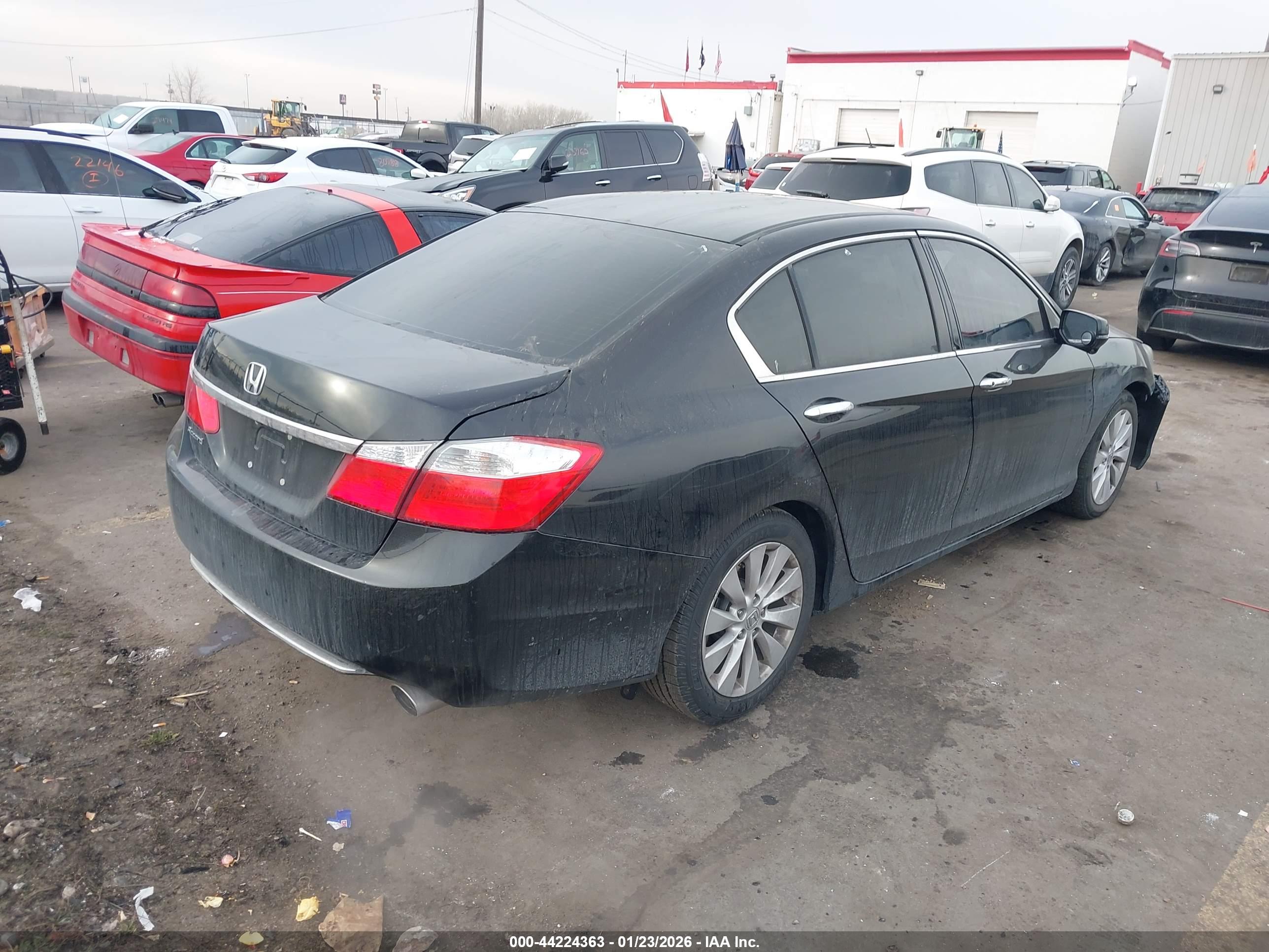 HONDA ACCORD image 4