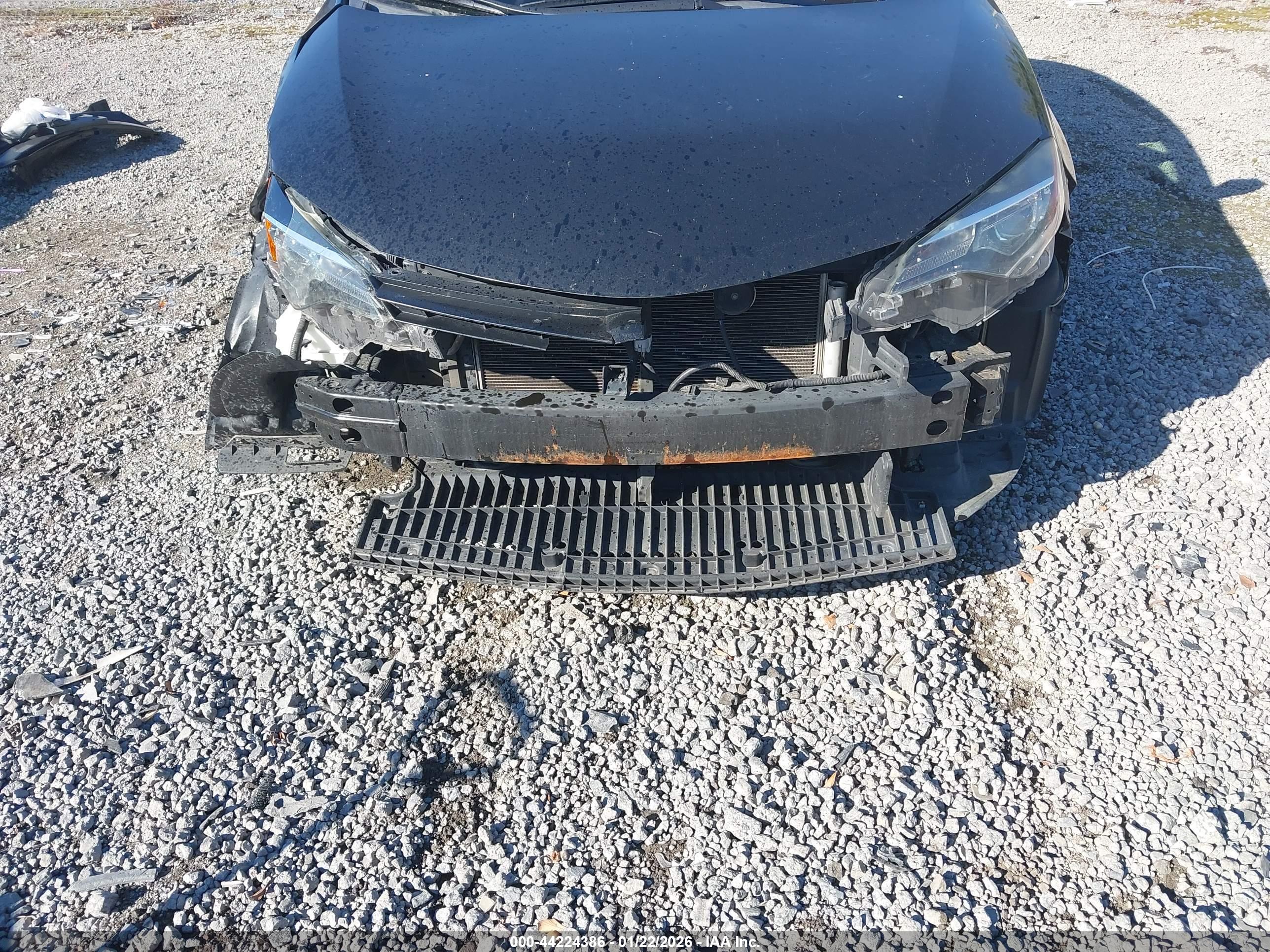 TOYOTA COROLLA image 6
