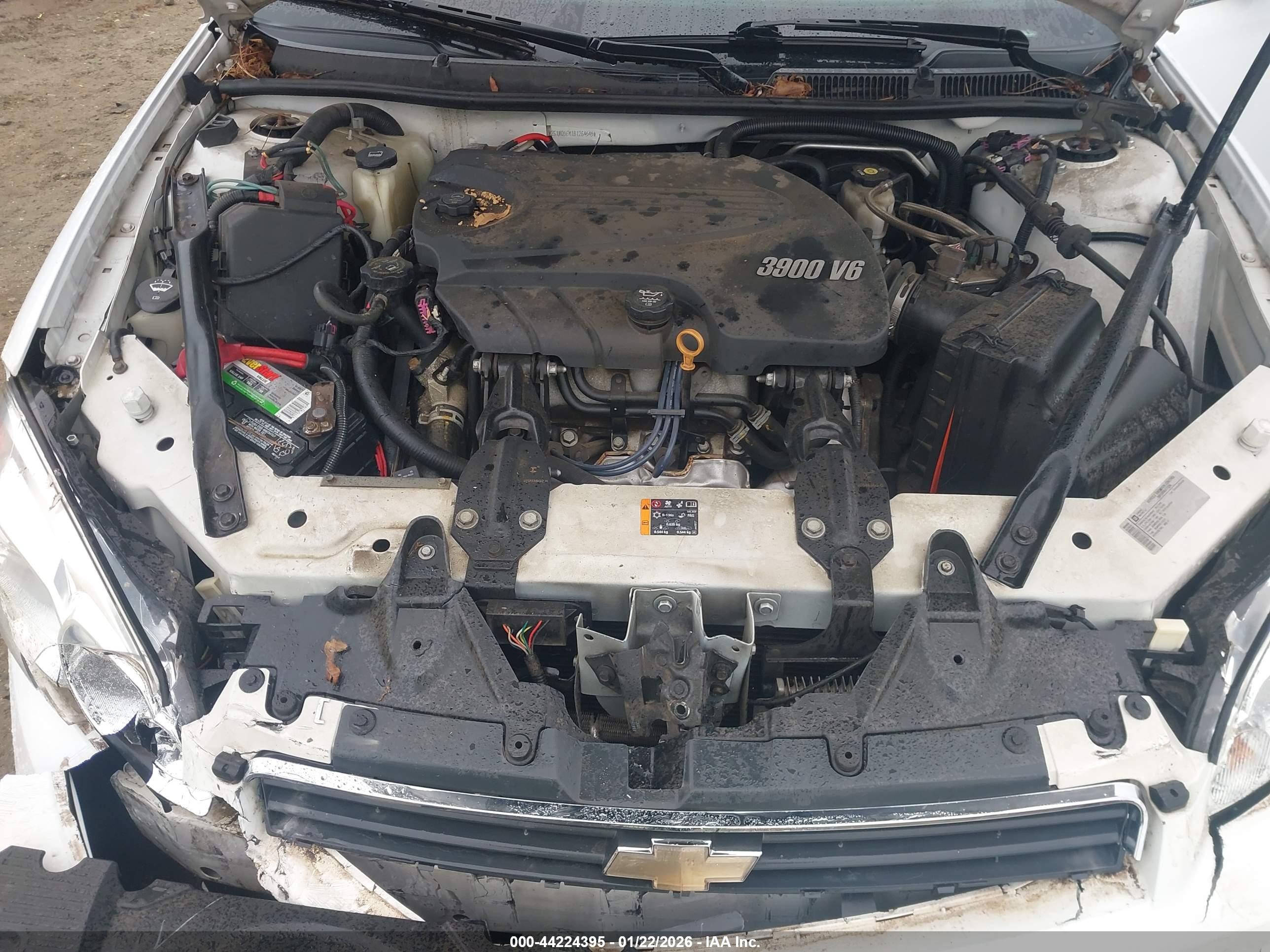 CHEVROLET IMPALA image 10