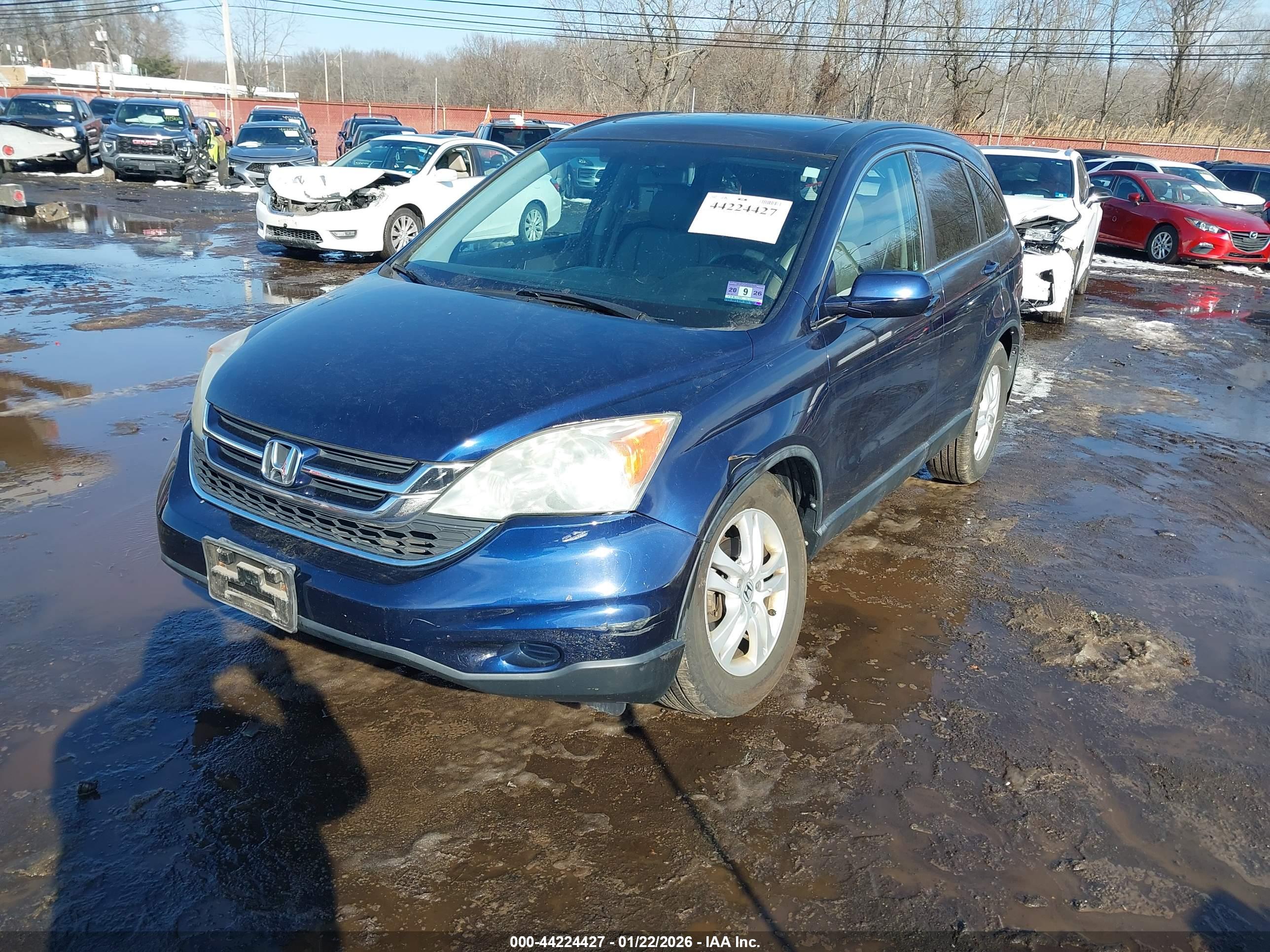 HONDA CR-V image 6
