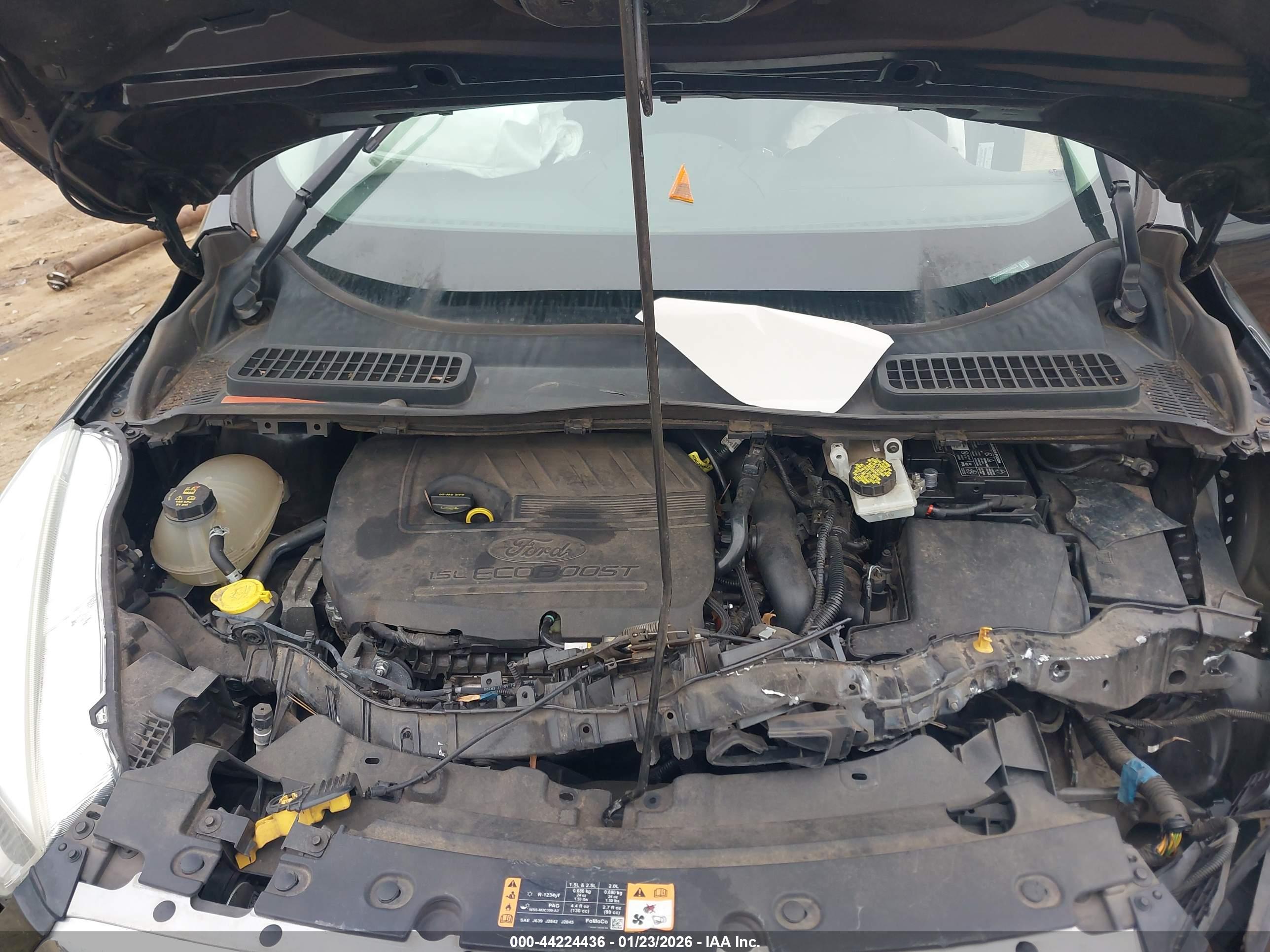 FORD ESCAPE image 10