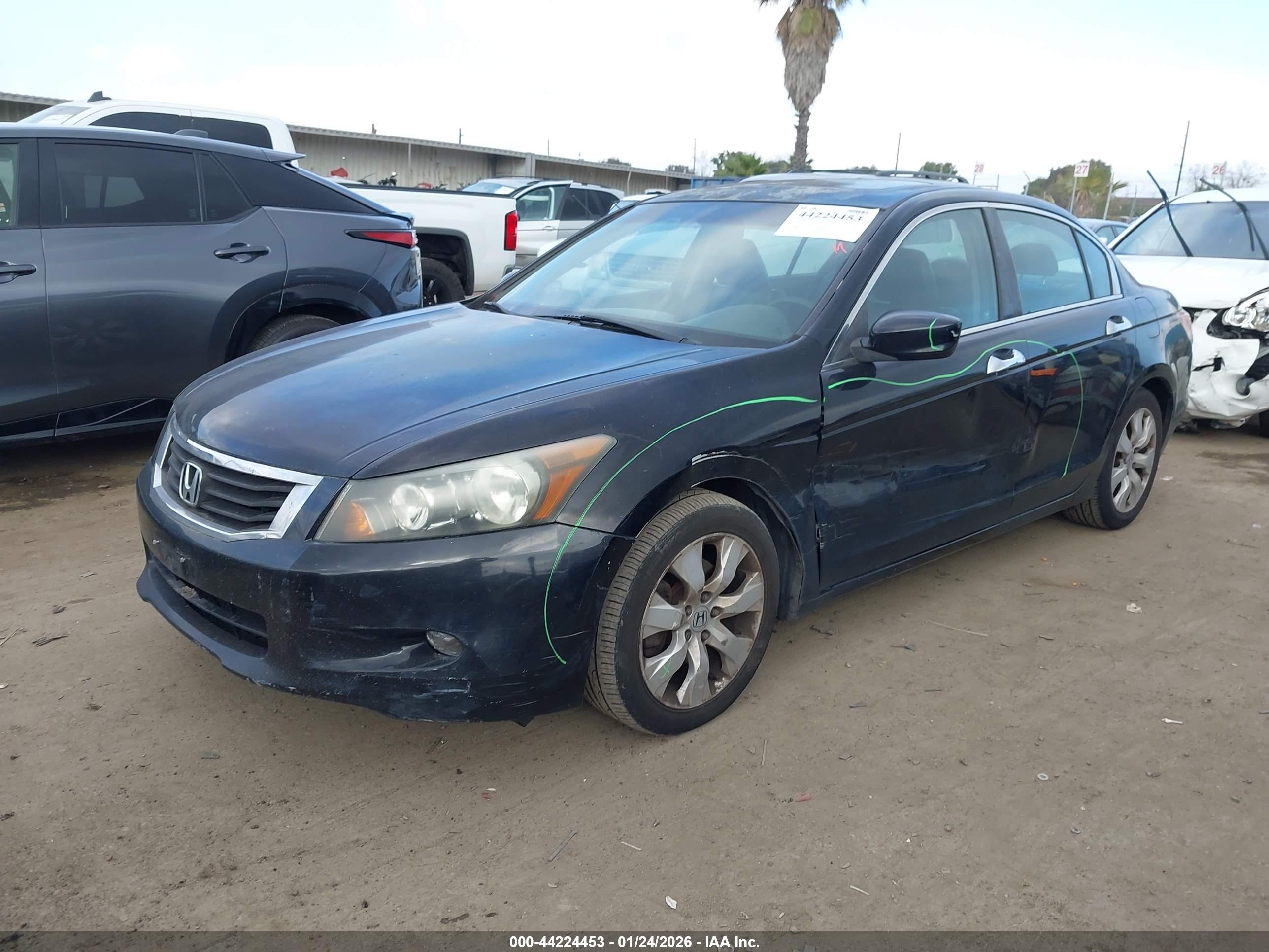 HONDA ACCORD image 2