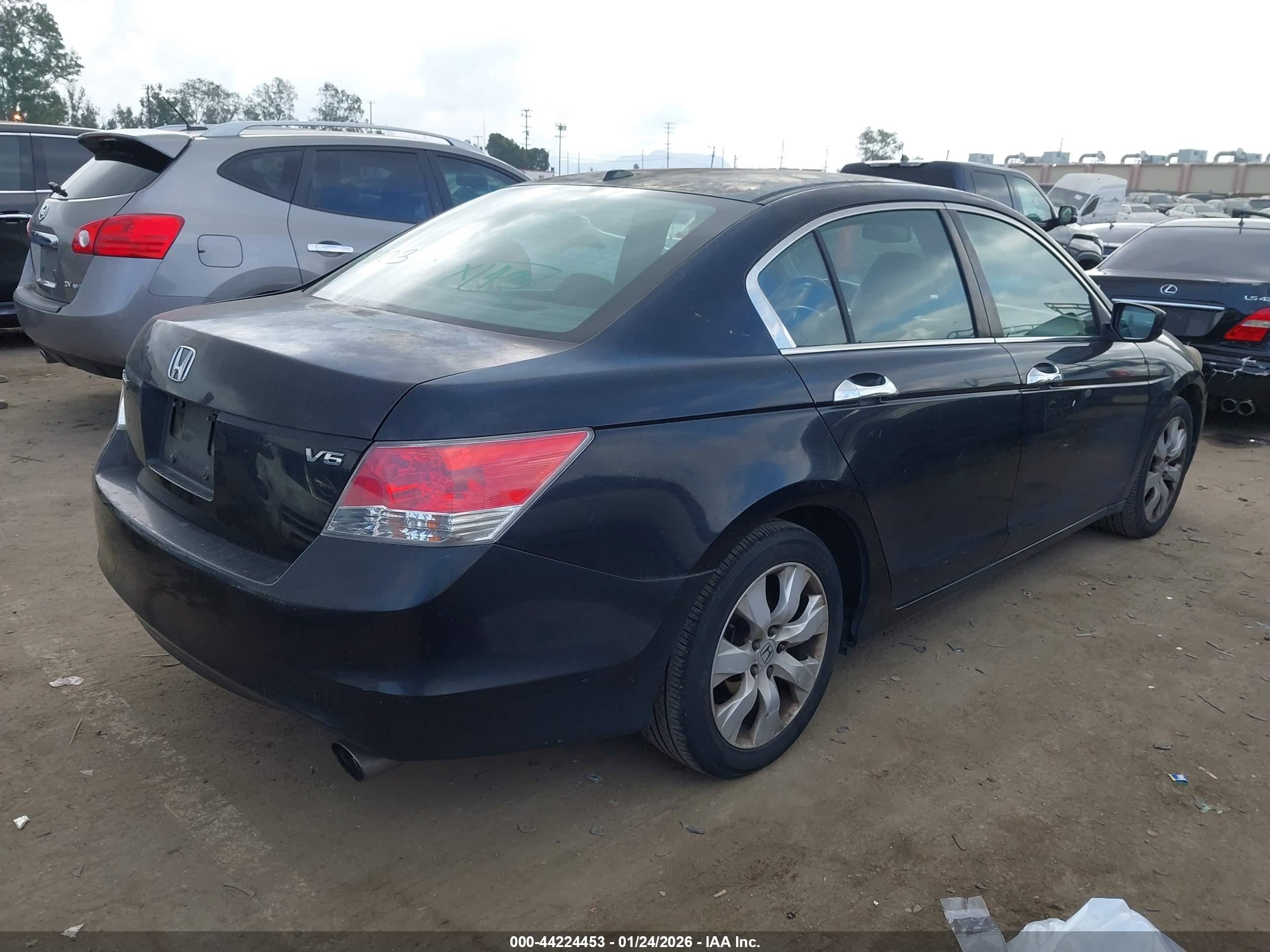 HONDA ACCORD image 4
