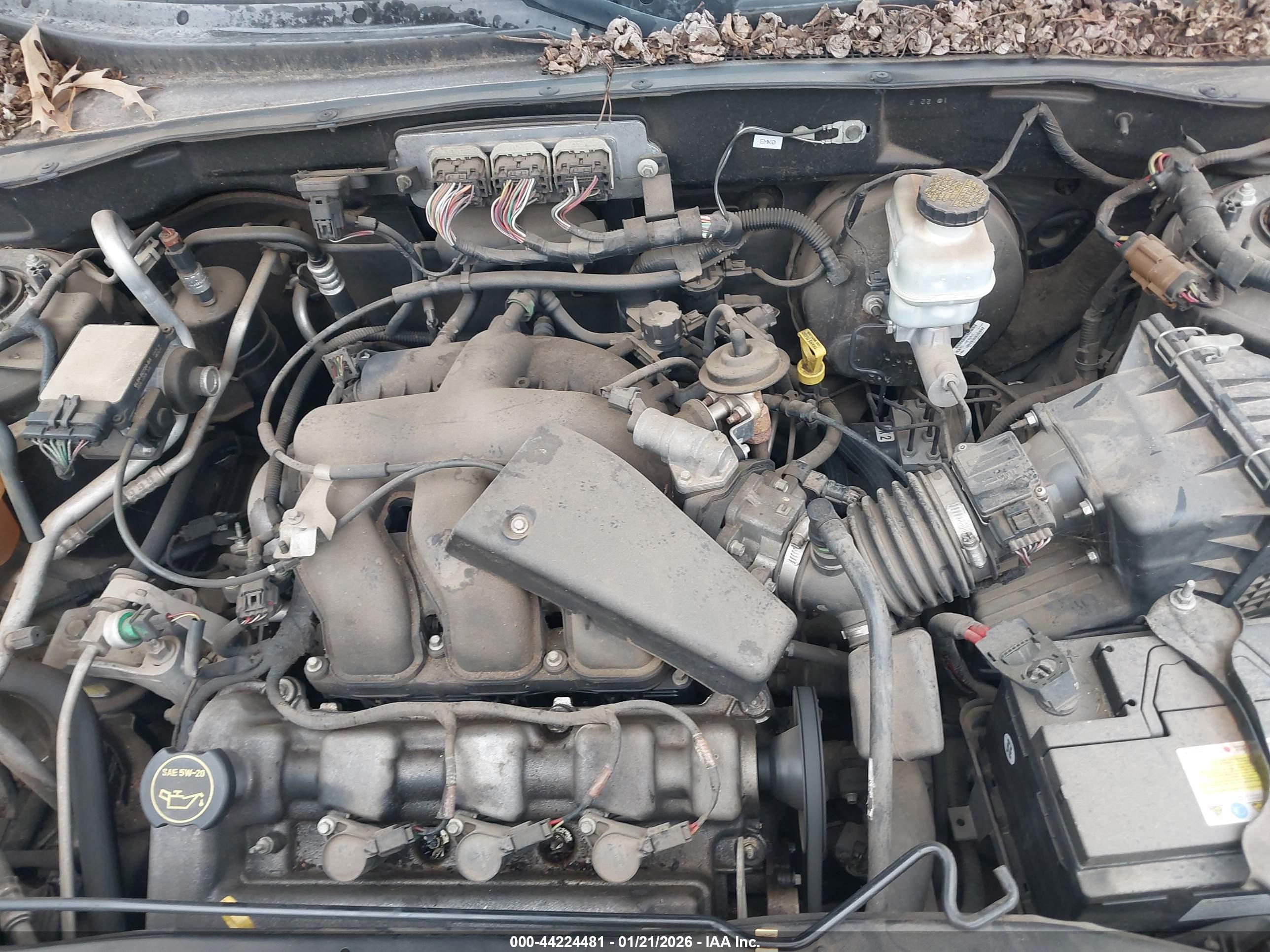 FORD ESCAPE image 10