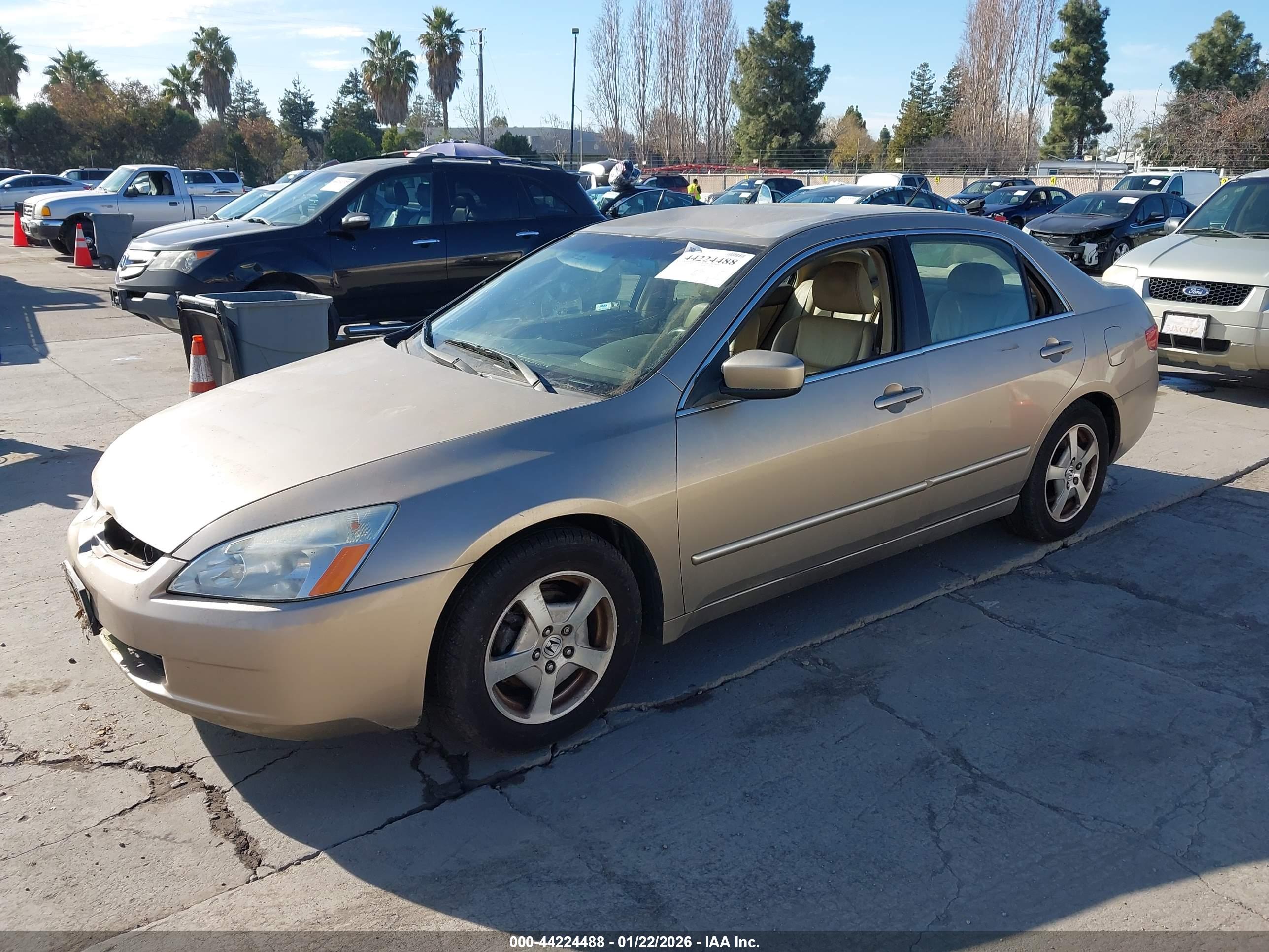 HONDA ACCORD image 2